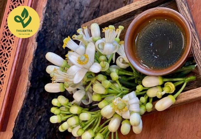 5 Công Dụng Tuyệt Nhất Của Trà Bưởi Cho Sức Khỏe Mùa Thu 2026