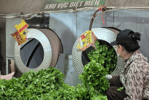 Công đoạn diệt men trong quy trình sản xuất tại Thuận Trà