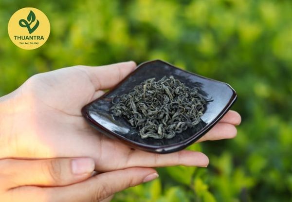 Trà Móc Câu Đặc Biệt