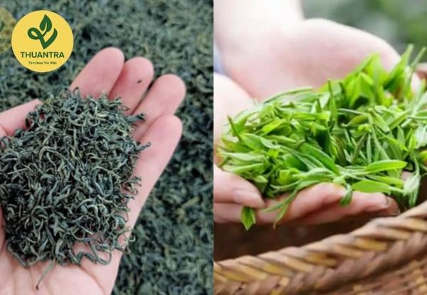 Trà Móc Câu Đặc Biệt