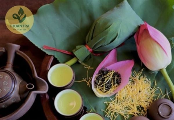 Trà Sen Bách Diệp