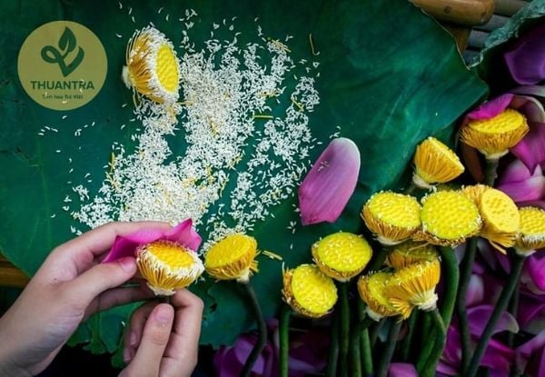 Trà Sen Bách Diệp