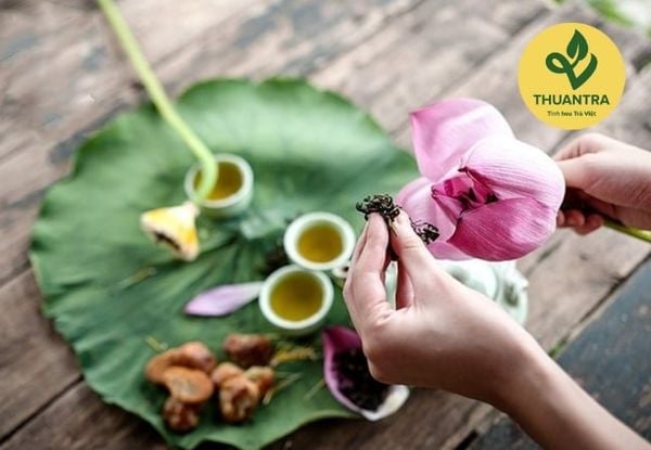 Trà Sen Bách Diệp