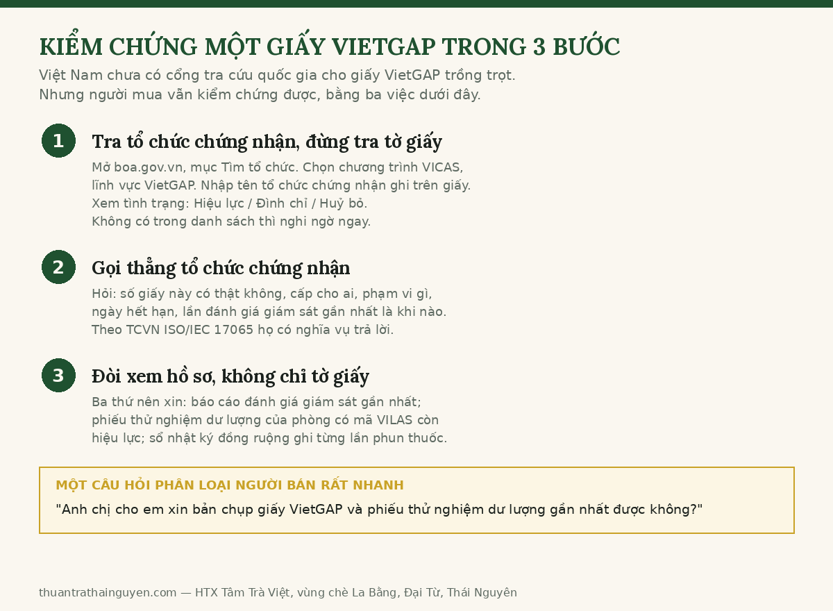 Ba bước kiểm chứng giấy chứng nhận VietGAP của cơ sở bán trà