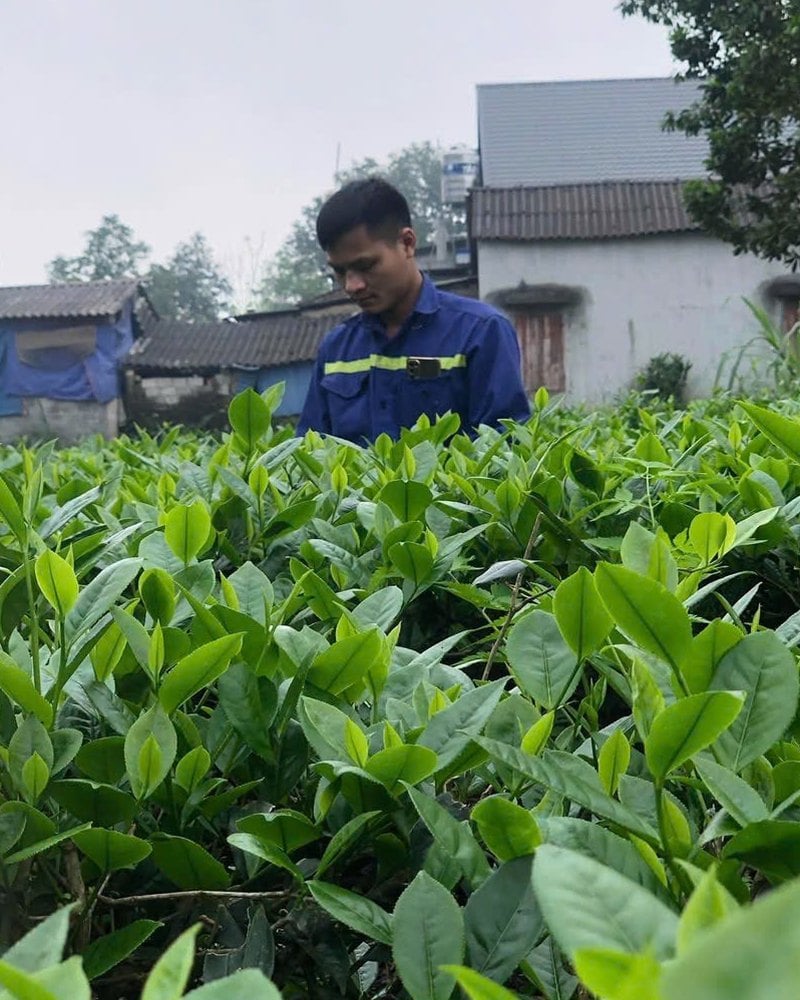 Đỗ Trí Quân, quản lý sản xuất cơ sở 1