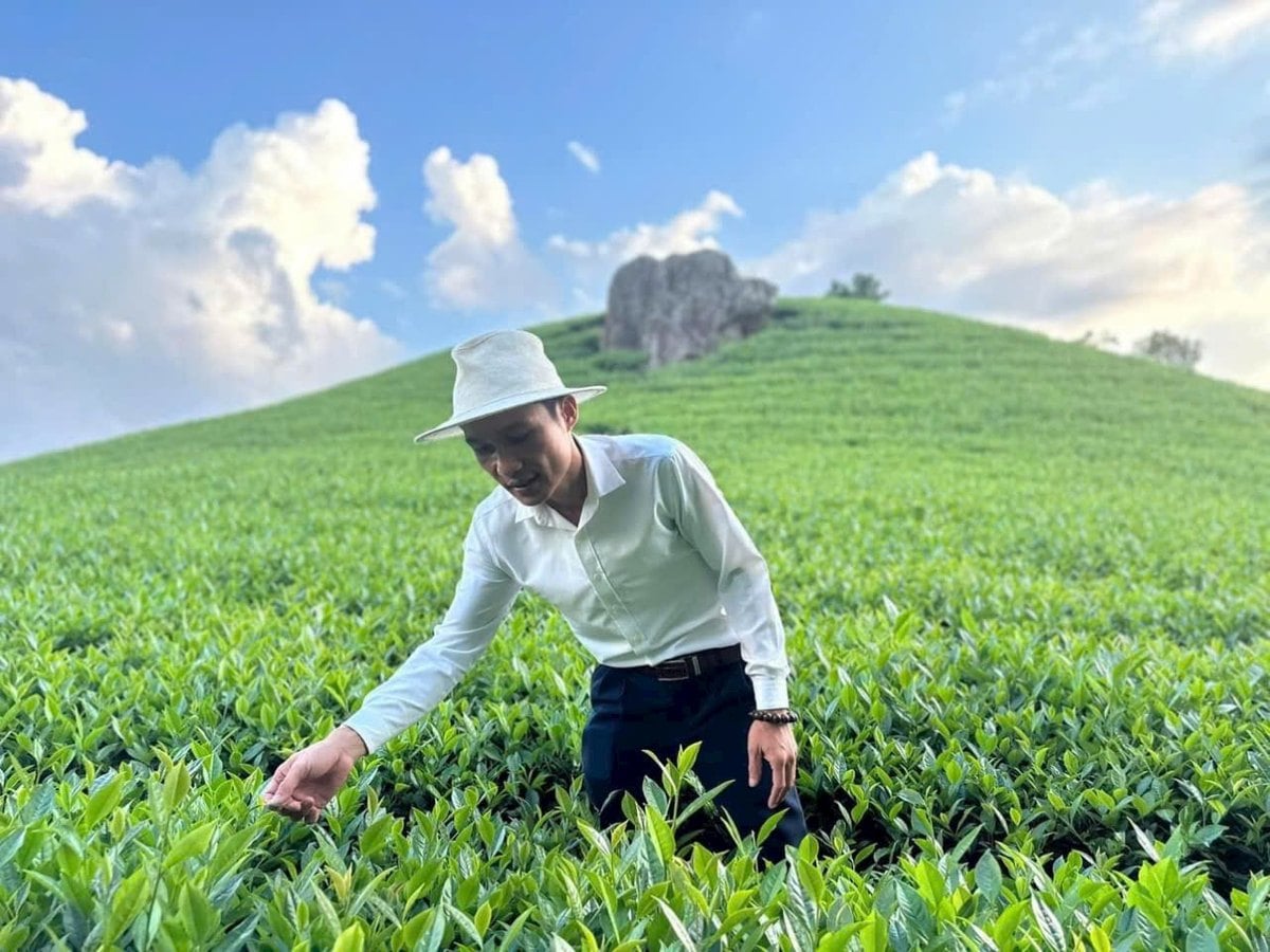 Phạm Hoàng Giang, nghệ nhân chế biến chè