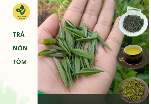 Trà tôm nõn thượng hạng