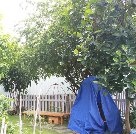 TẠI SAO NGƯỜI ĐANG TRONG HÀNH TRÌNH CHỮA LÀNH UNG THƯ NÊN THỰC HÀNH THIỀN XÔNG HƠI BẰNG THẢO MỘC DAO ĐỎ?