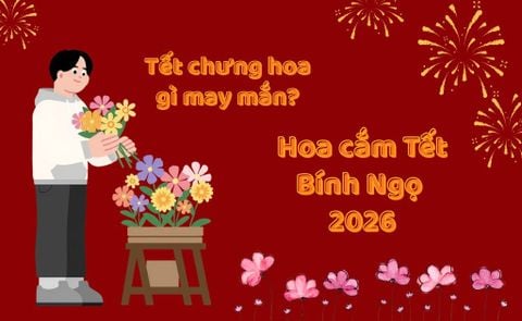 Tết chưng hoa gì may mắn? 20+ loại hoa cắm Tết đẹp, ý nghĩa mang tài lộc