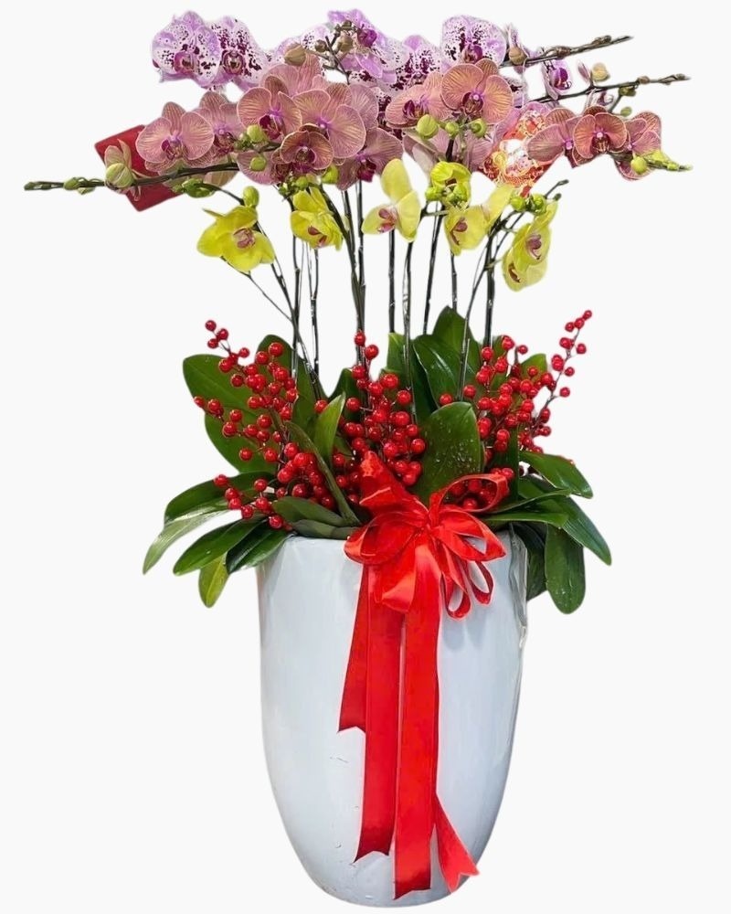 Chậu lan hồ điệp 10 cành tượng trưng cho cuộc sống viên mãn, đủ đầy