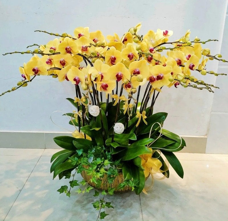 Lan hồ điệp vàng tượng trưng sự sung túc, tài lộc