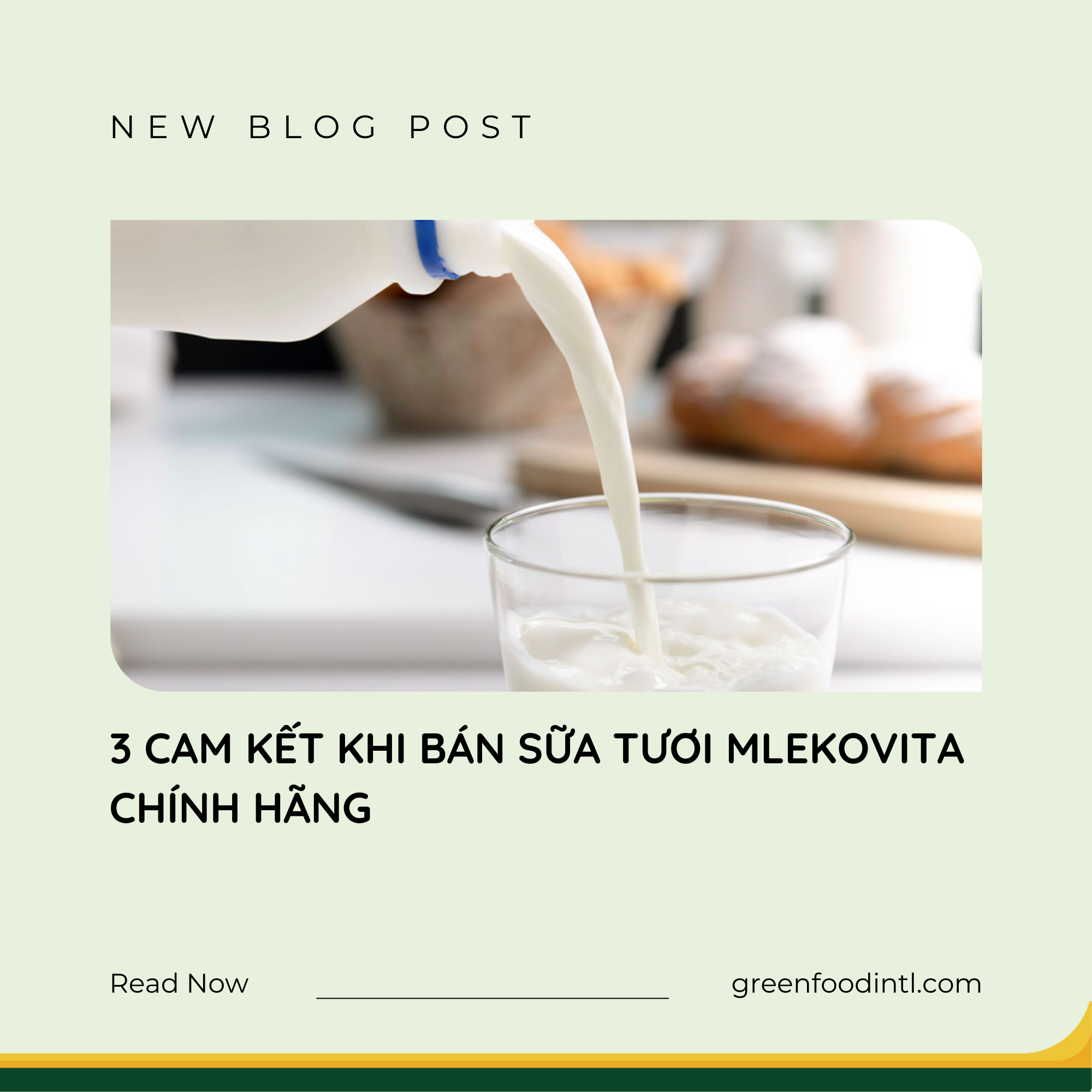 3 CAM KẾT KHI BÁN SỮA TƯƠI MLEKOVITA CHÍNH HÃNG