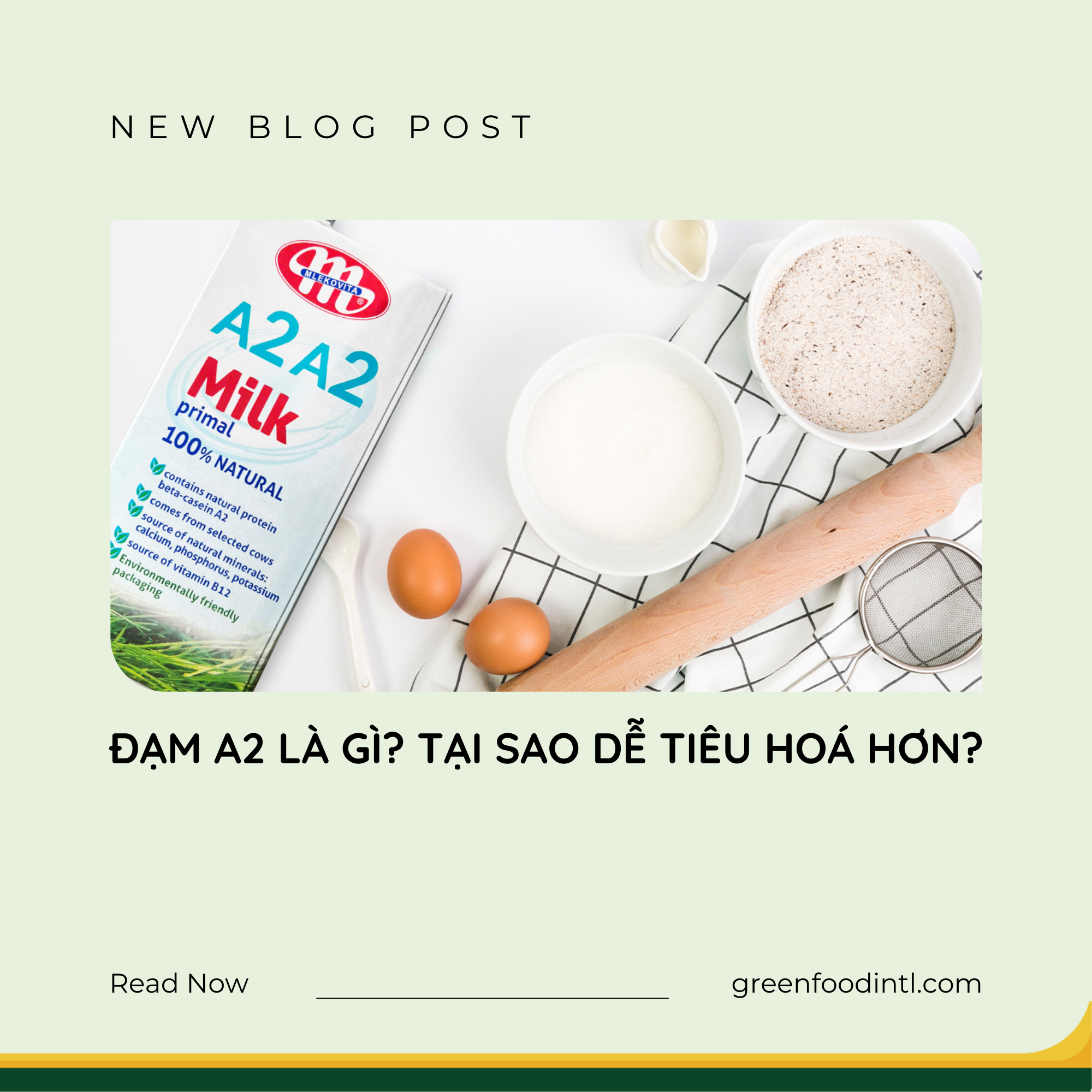 ĐẠM A2 LÀ GÌ? TẠI SAO DỄ TIÊU HOÁ HƠN?