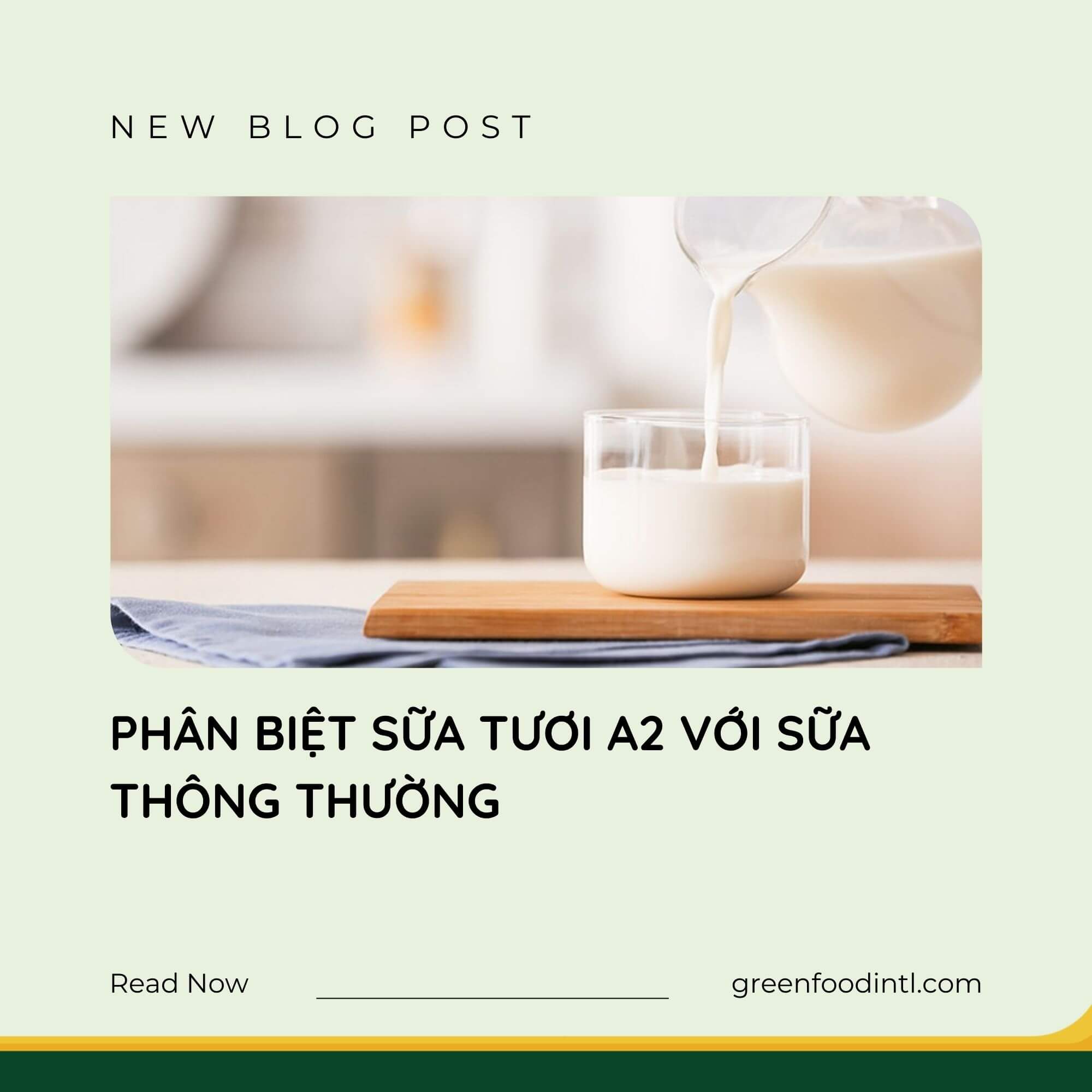 PHÂN BIỆT SỮA TƯƠI A2 VỚI SỮA THÔNG THƯỜNG
