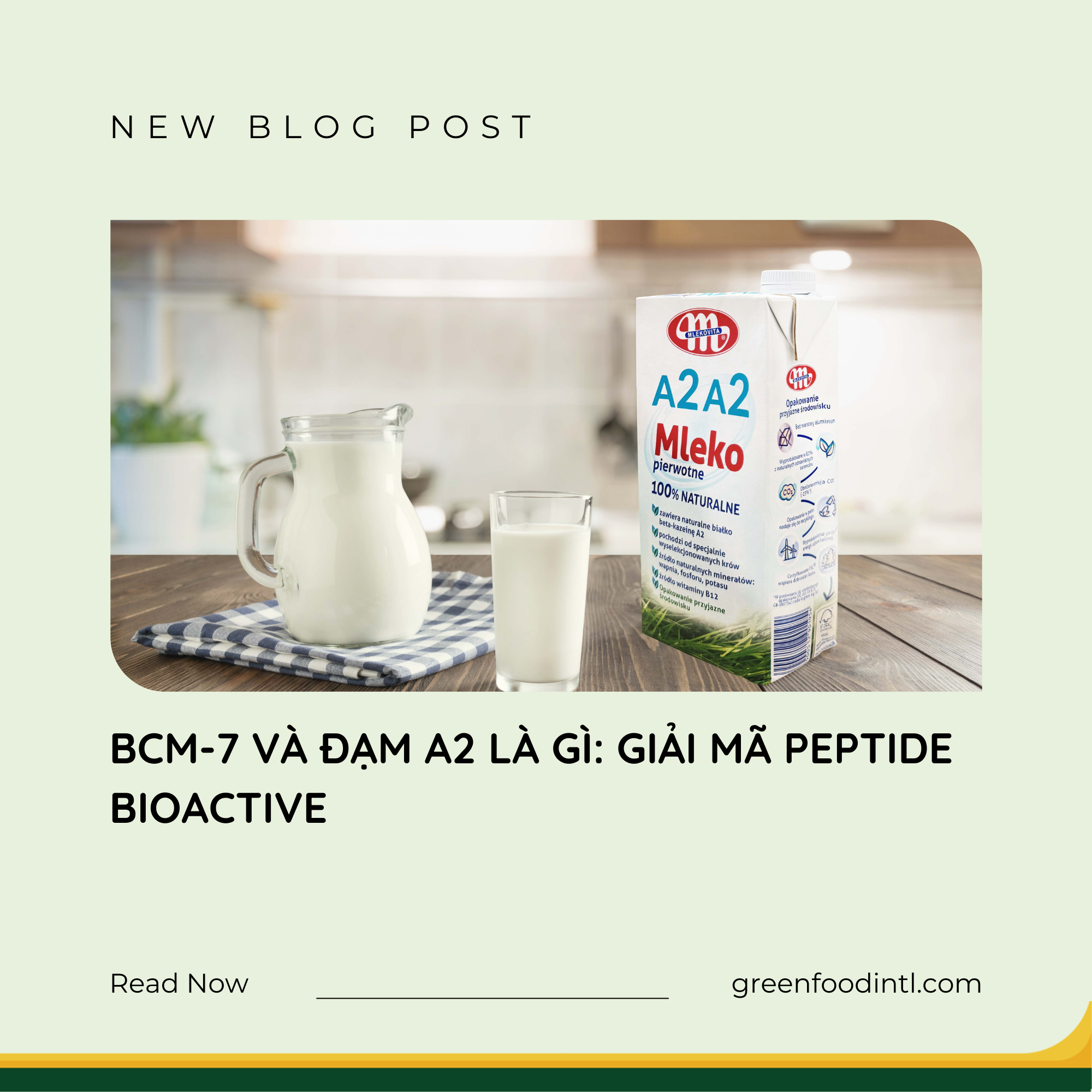 BCM-7 VÀ ĐẠM A2 LÀ GÌ: GIẢI MÃ PEPTIDE BIOACTIVE