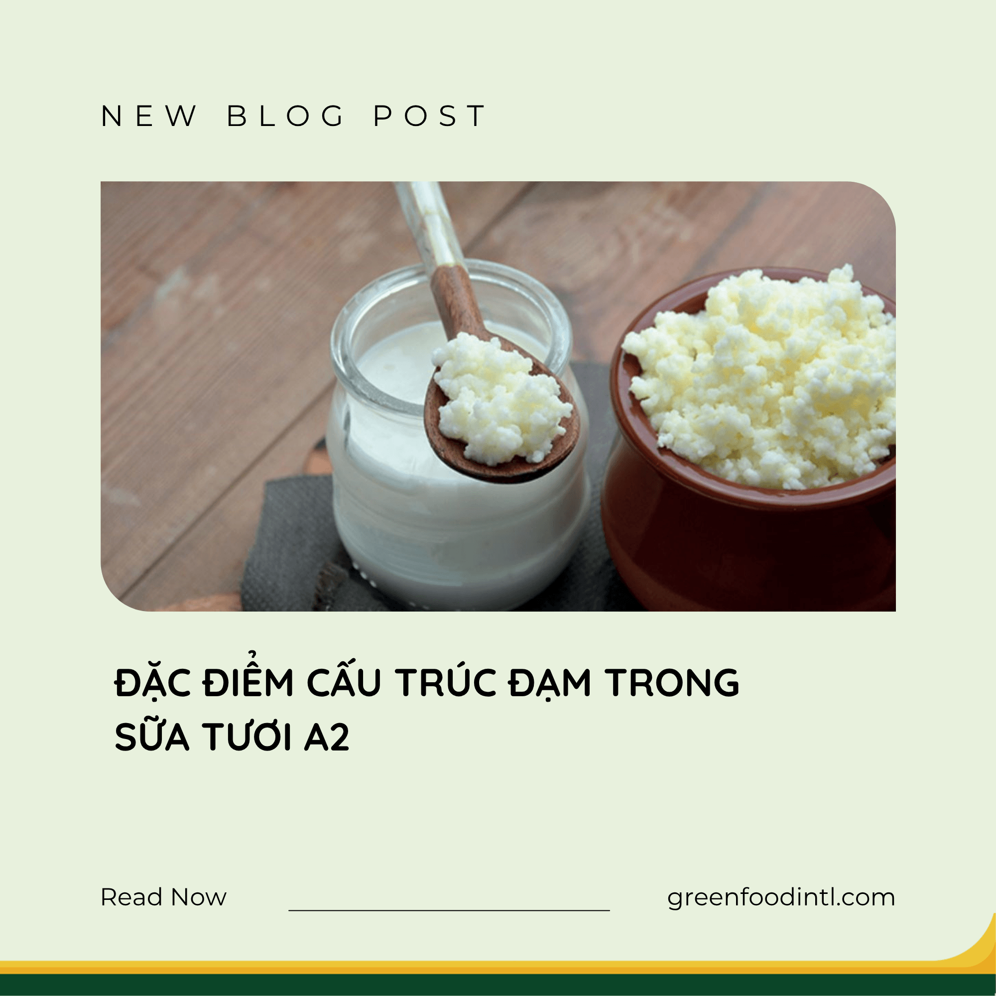 ĐẶC ĐIỂM CẤU TRÚC ĐẠM TRONG SỮA TƯƠI A2
