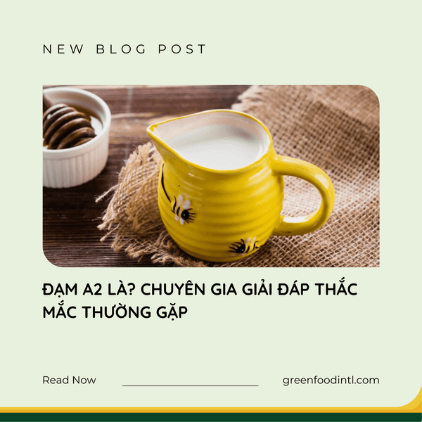 ĐẠM A2 LÀ? CHUYÊN GIA GIẢI ĐÁP THẮC MẮC THƯỜNG GẶP