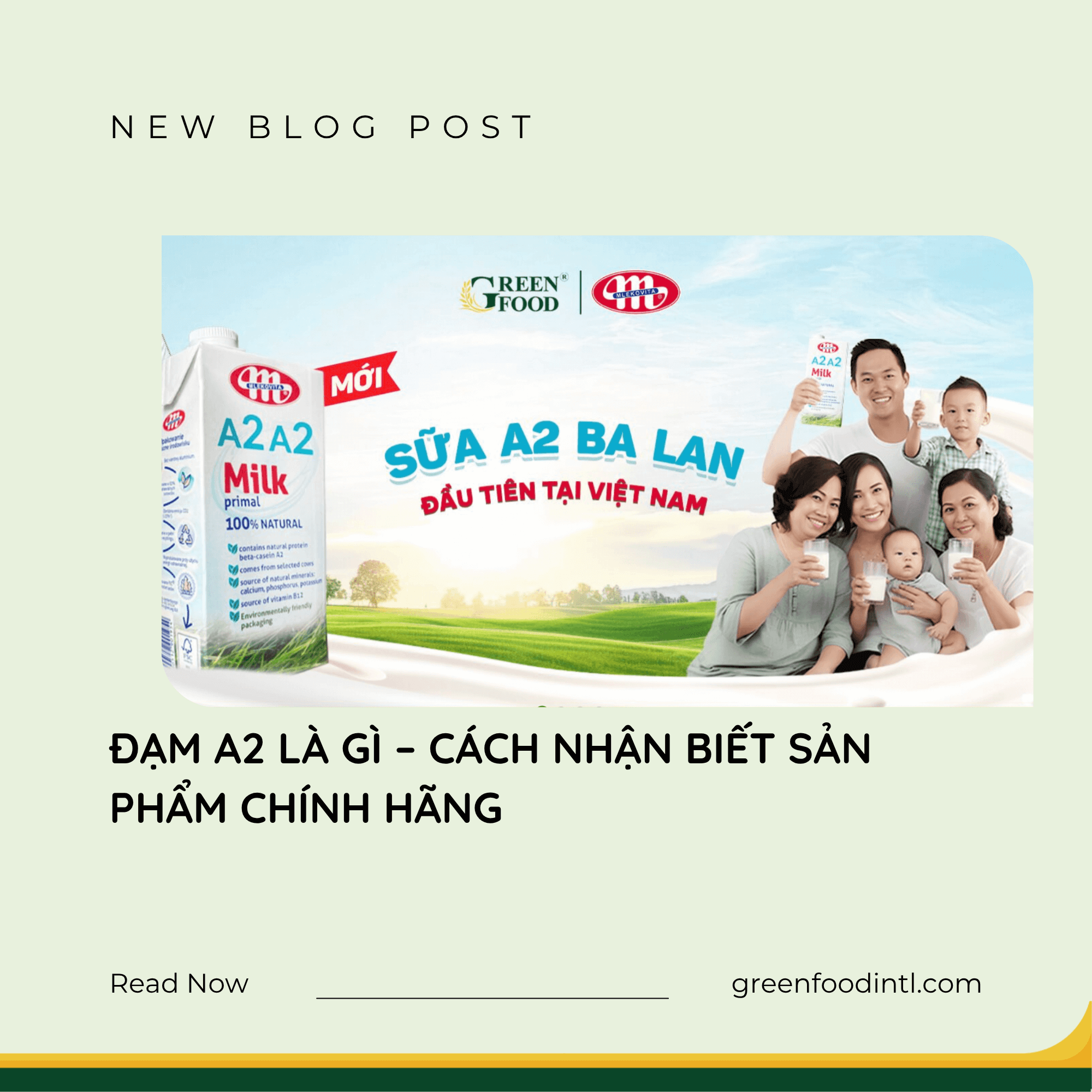 ĐẠM A2 LÀ GÌ – CÁCH NHẬN BIẾT SẢN PHẨM CHÍNH HÃNG