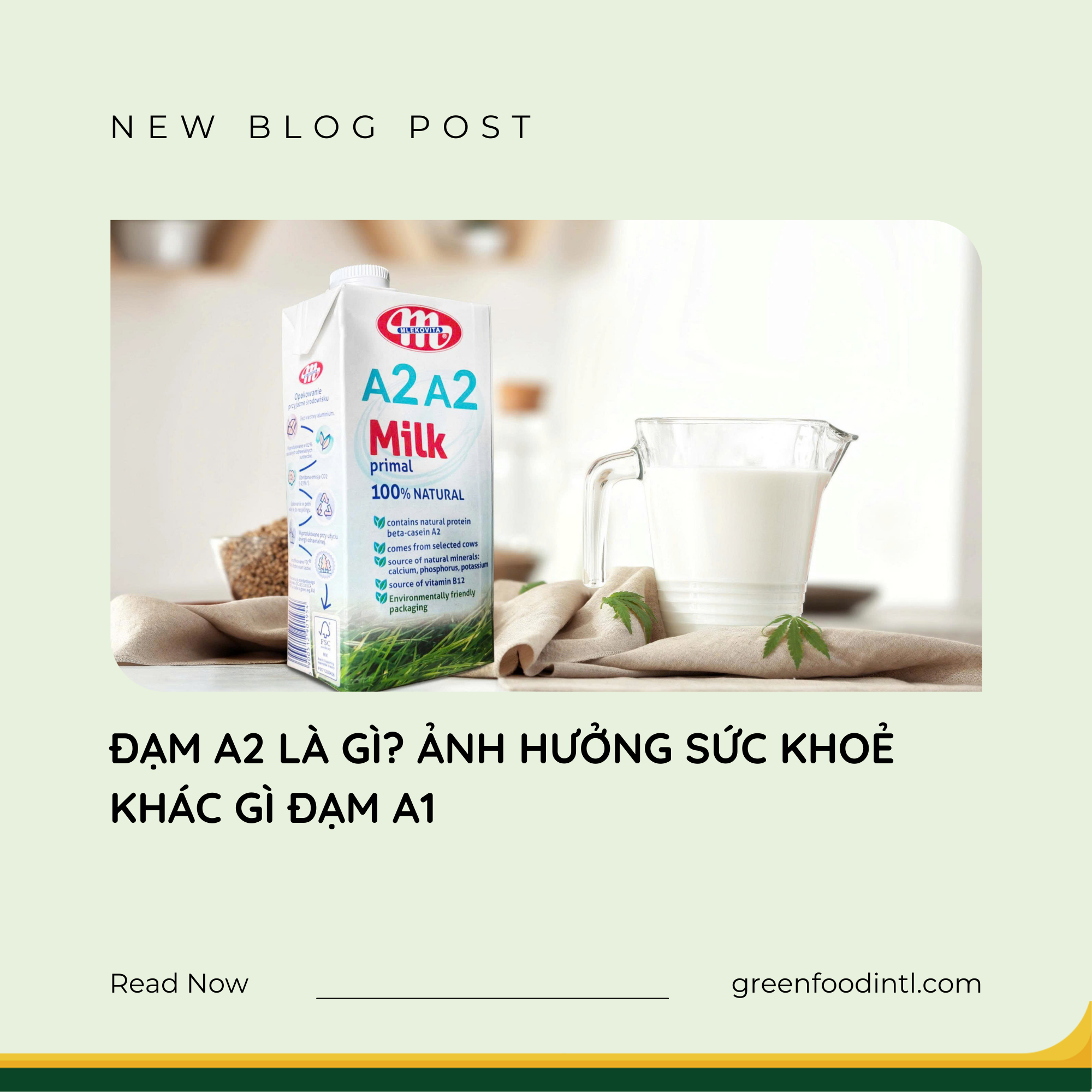 ĐẠM A2 LÀ GÌ? TÁC ĐỘNG SỨC KHOẺ KHÁC GÌ ĐẠM A1