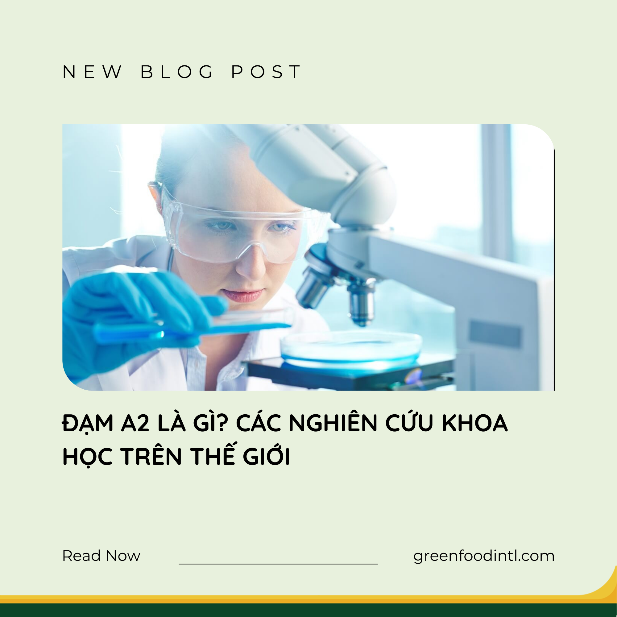 ĐẠM A2 LÀ GÌ? CÁC NGHIÊN CỨU KHOA HỌC TRÊN THẾ GIỚI