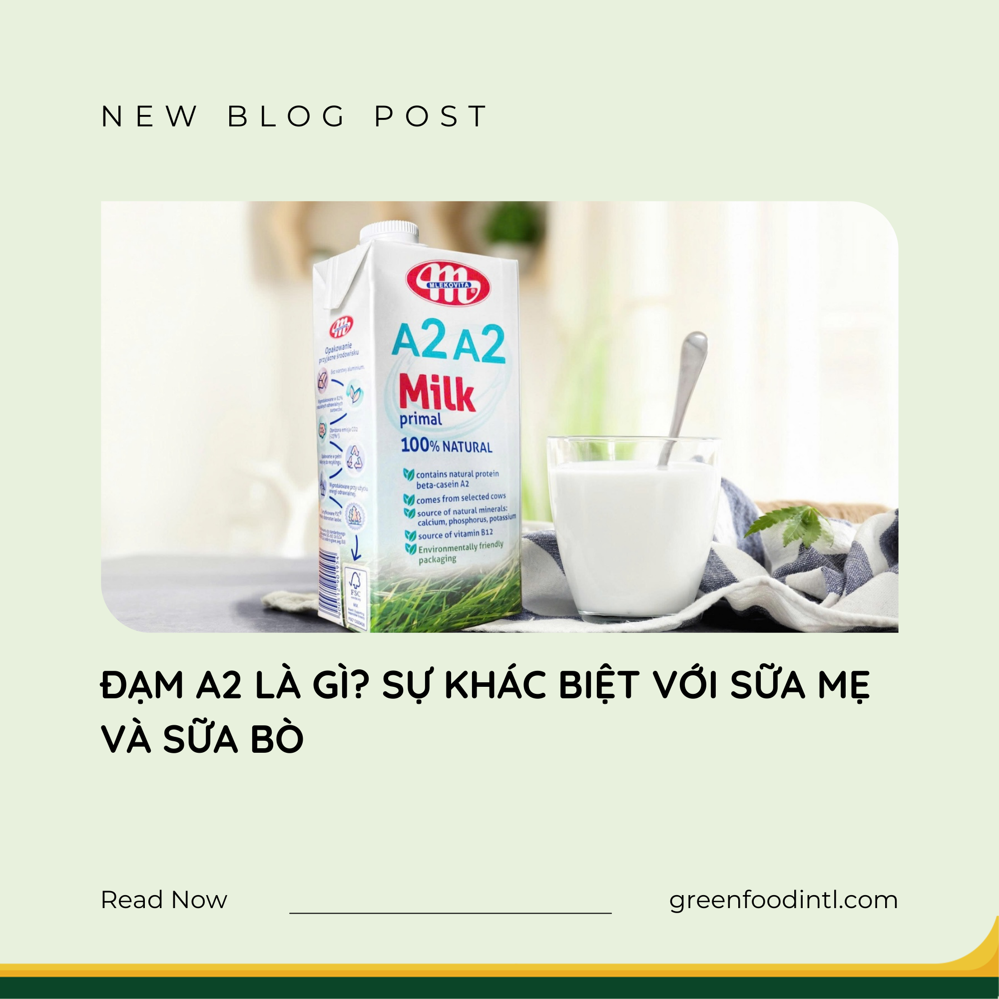 ĐẠM A2 LÀ GÌ? SỰ KHÁC BIỆT VỚI SỮA MẸ VÀ SỮA BÒ