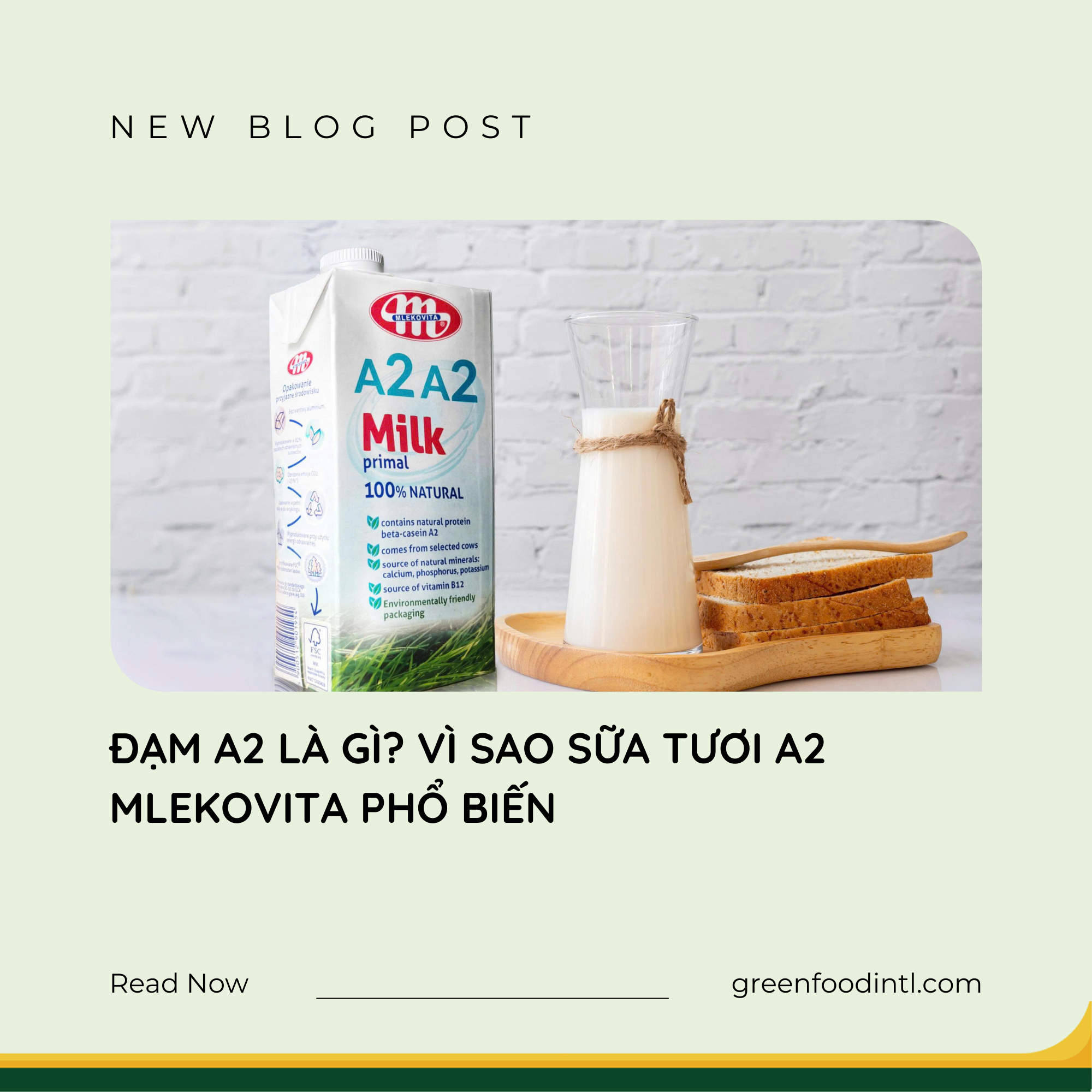 ĐẠM A2 LÀ GÌ? VÌ SAO SỮA TƯƠI A2 MLEKOVITA PHỔ BIẾN