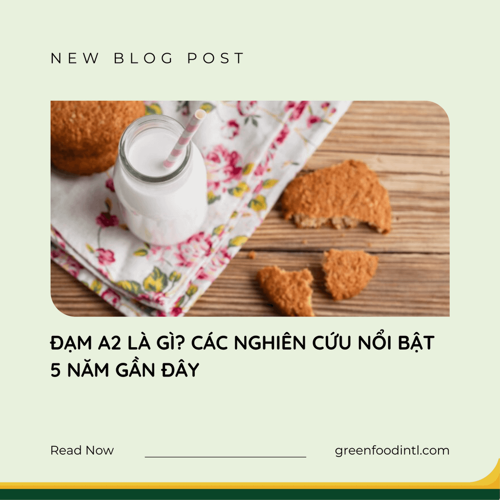 ĐẠM A2 LÀ GÌ? CÁC NGHIÊN CỨU NỔI BẬT 5 NĂM GẦN ĐÂY