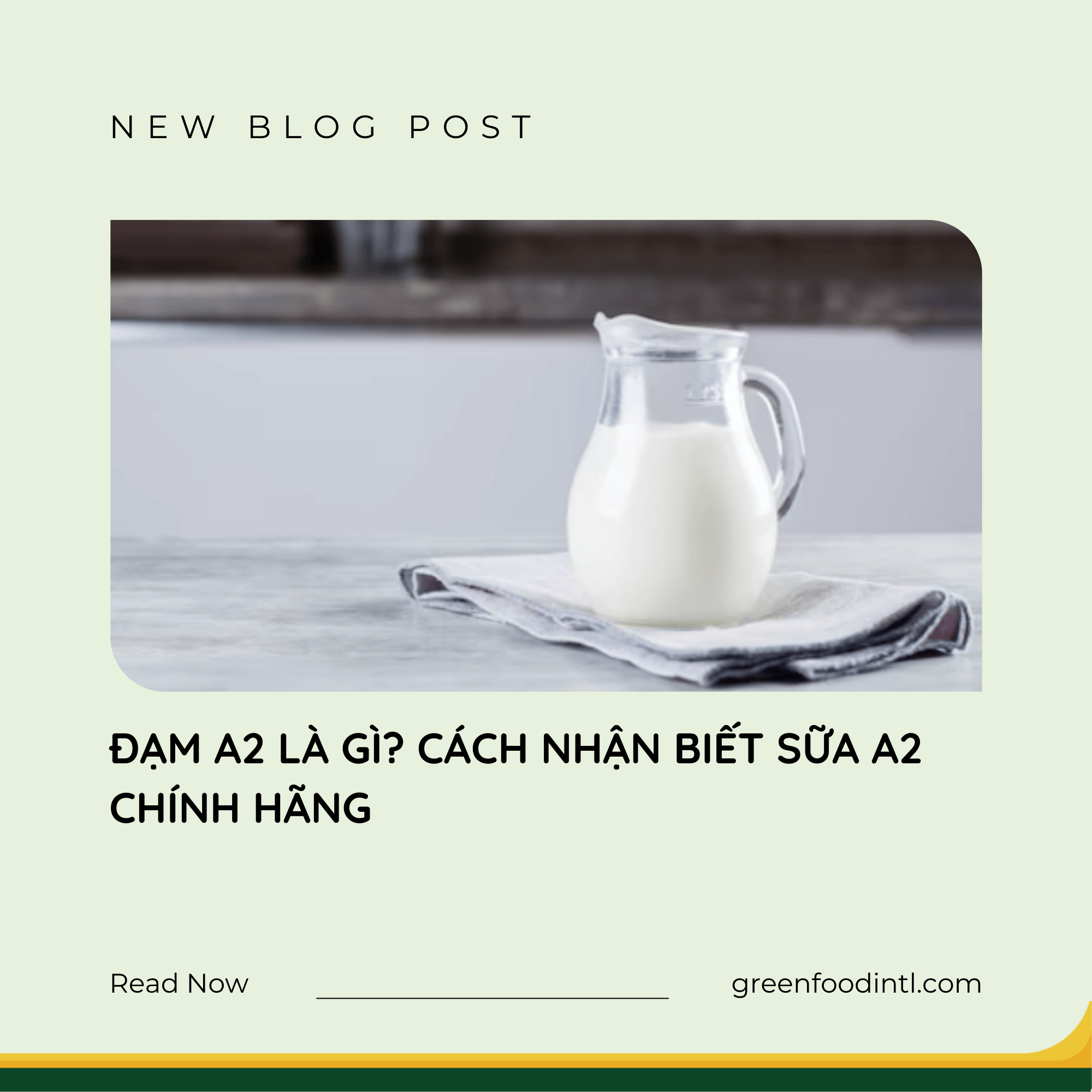 ĐẠM A2 LÀ GÌ? CÁCH NHẬN BIẾT SỮA A2 CHÍNH HÃNG