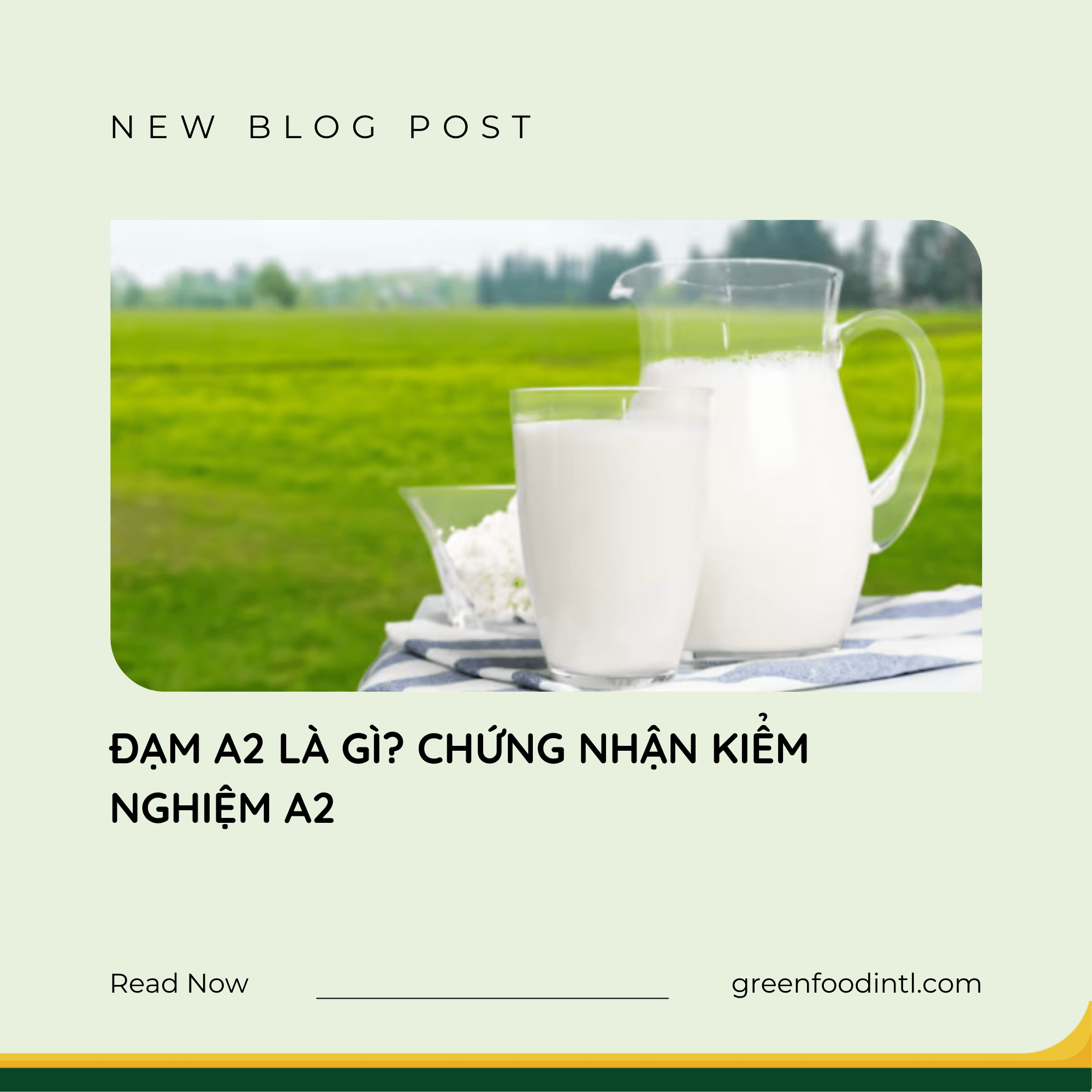 ĐẠM A2 LÀ GÌ? CHỨNG NHẬN KIỂM NGHIỆM A2
