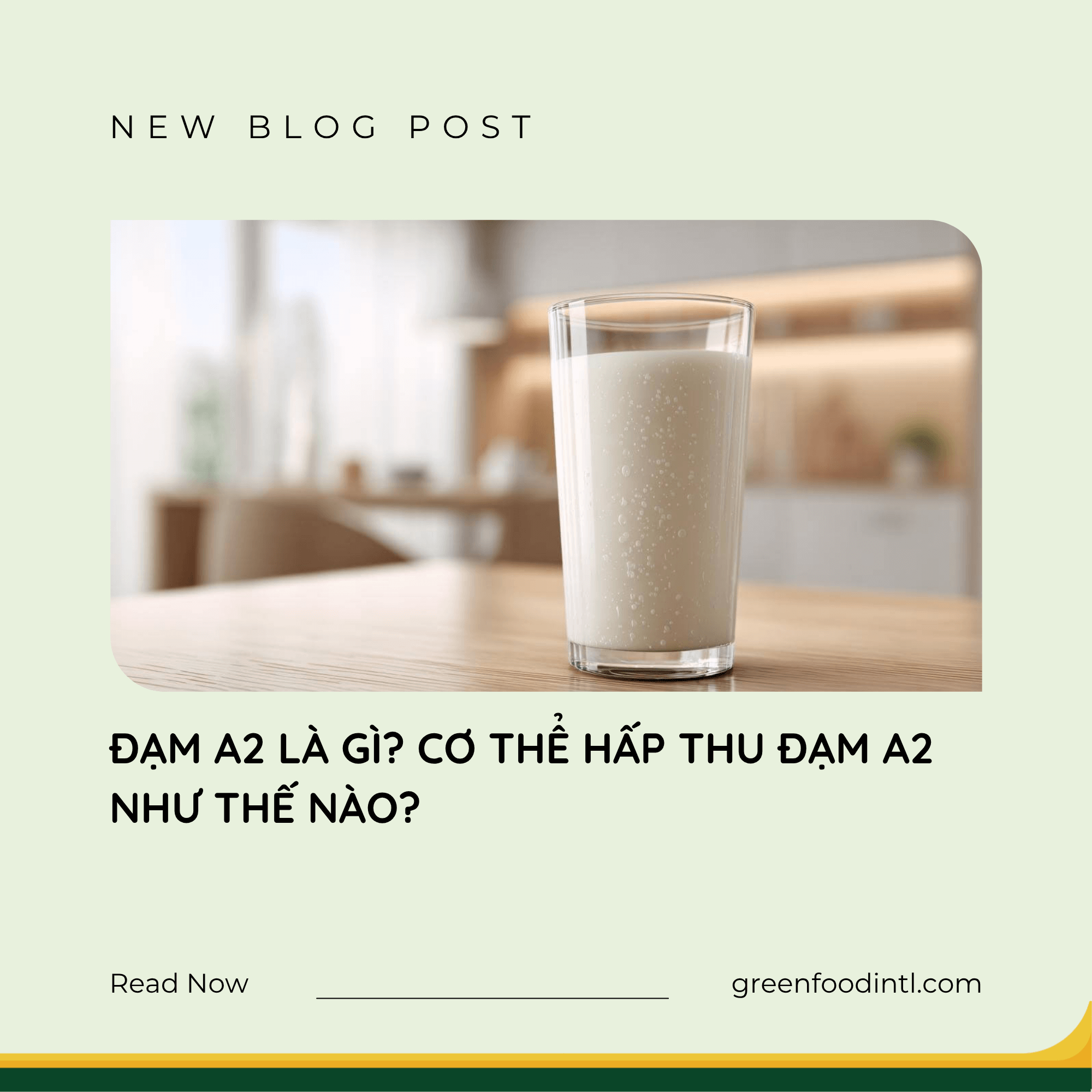 ĐẠM A2 LÀ GÌ? CƠ THỂ HẤP THU ĐẠM A2 NHƯ THẾ NÀO?