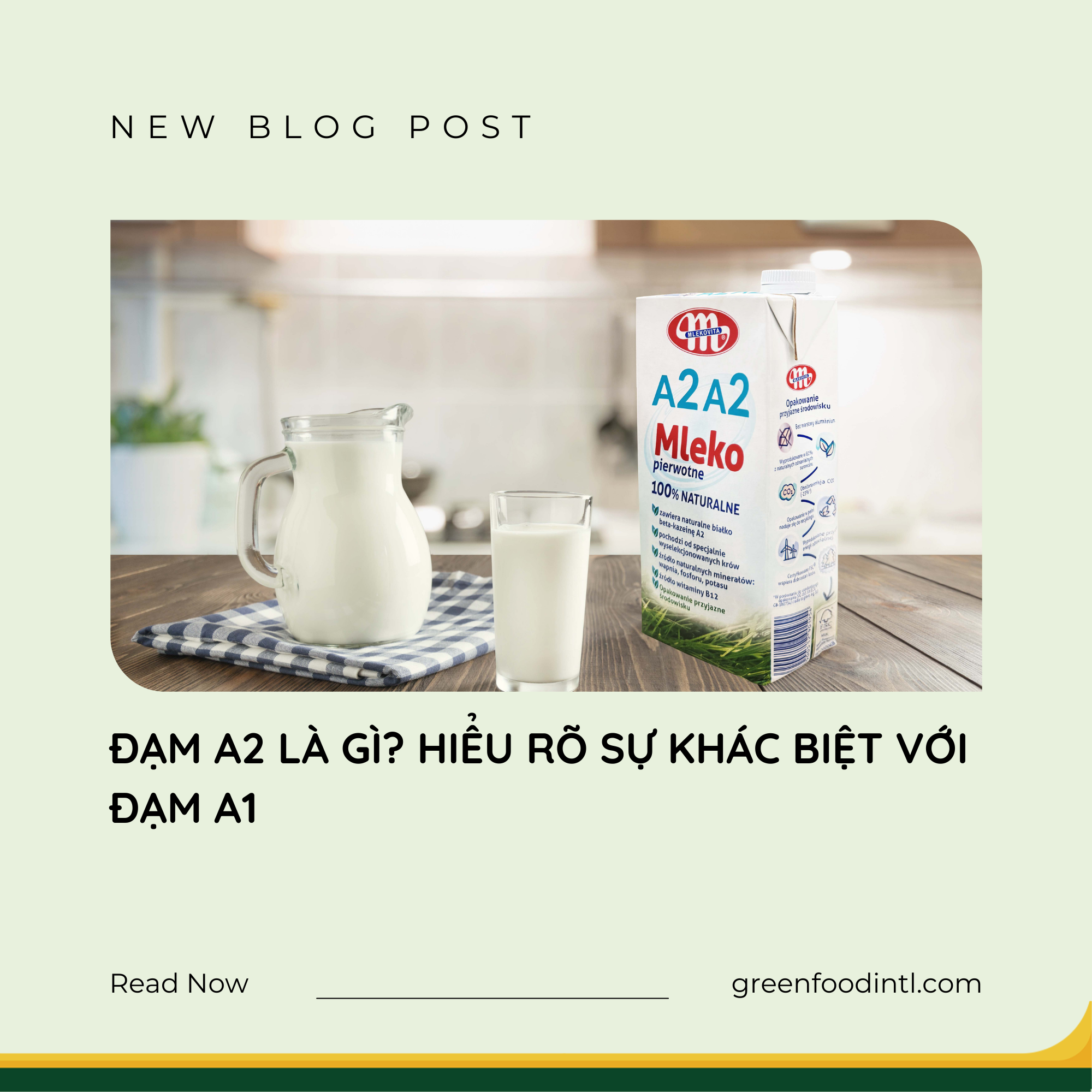 ĐẠM A2 LÀ GÌ? HIỂU RÕ SỰ KHÁC BIỆT VỚI ĐẠM A1