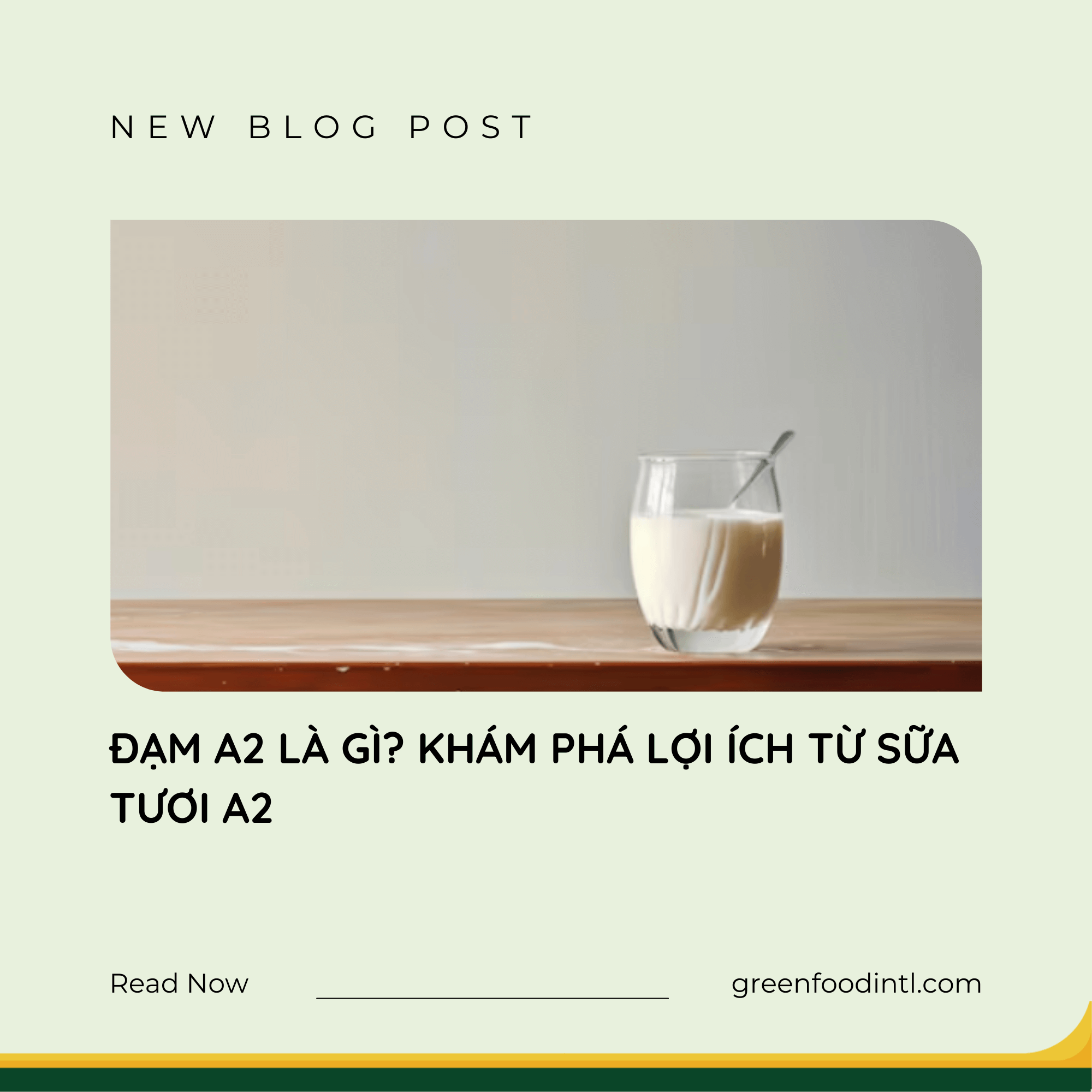ĐẠM A2 LÀ GÌ? KHÁM PHÁ LỢI ÍCH TỪ SỮA TƯƠI A2