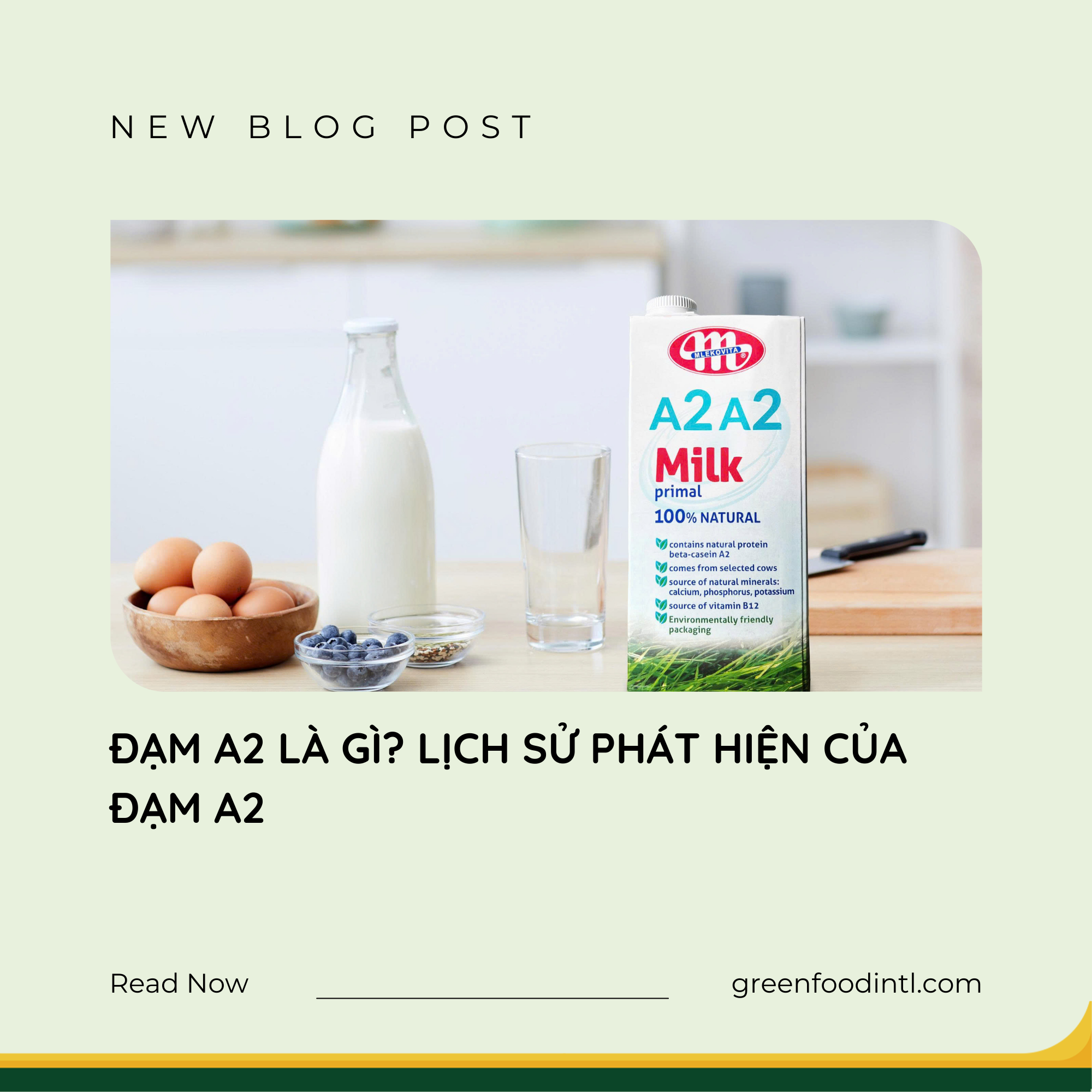 ĐẠM A2 LÀ GÌ? LỊCH SỬ PHÁT HIỆN CỦA ĐẠM A2