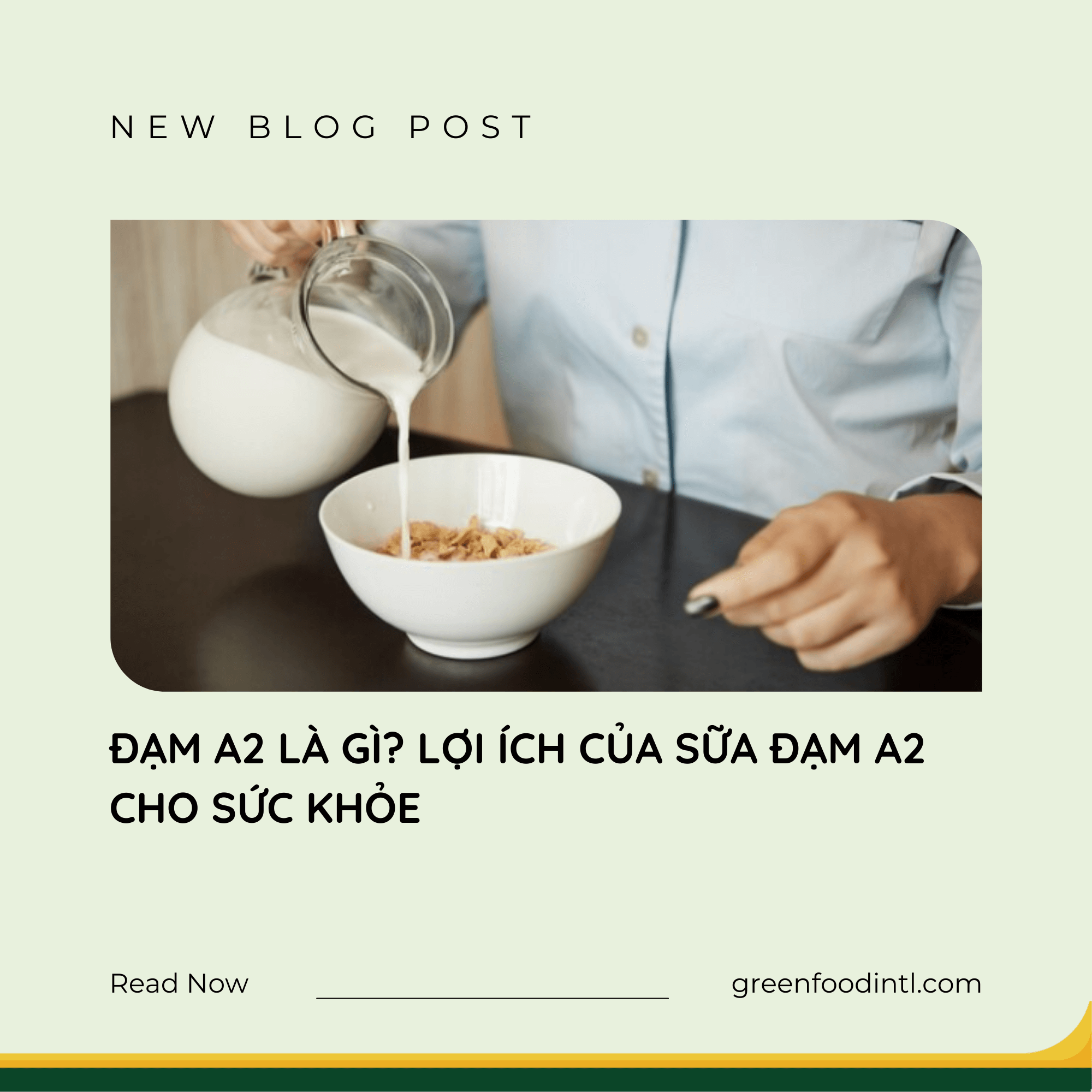 ĐẠM A2 LÀ GÌ? LỢI ÍCH CỦA SỮA ĐẠM A2 CHO SỨC KHỎE