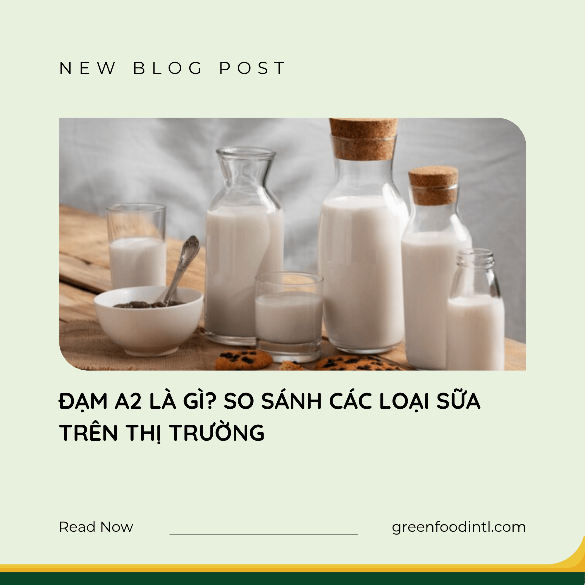 ĐẠM A2 LÀ GÌ? SO SÁNH CÁC LOẠI SỮA TRÊN THỊ TRƯỜNG