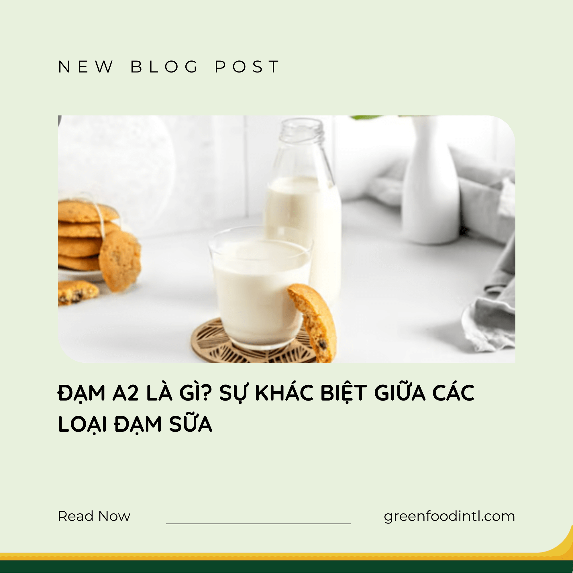 ĐẠM A2 LÀ GÌ? SỰ KHÁC BIỆT GIỮA CÁC LOẠI ĐẠM SỮA