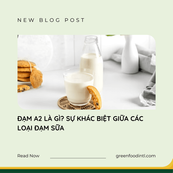 ĐẠM A2 LÀ GÌ? SỰ KHÁC BIỆT GIỮA CÁC LOẠI ĐẠM SỮA