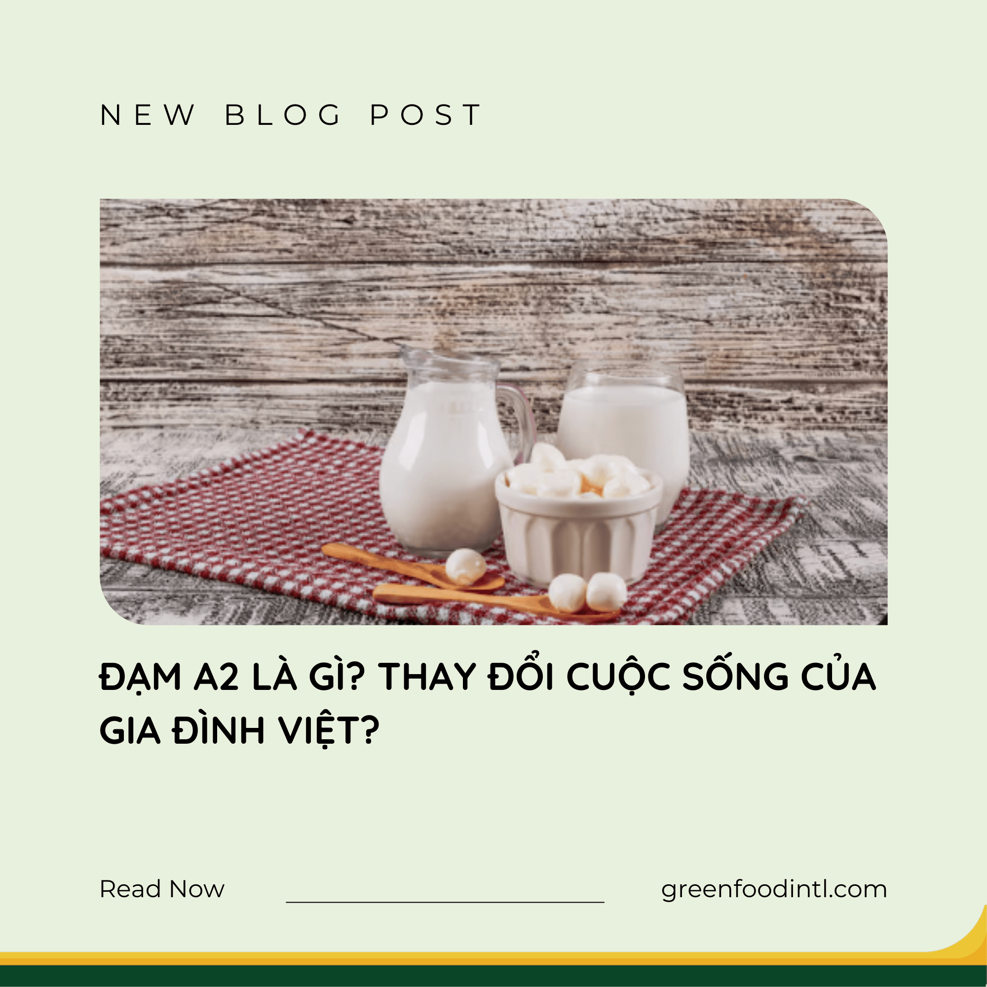 ĐẠM A2 LÀ GÌ? THAY ĐỔI CUỘC SỐNG CỦA GIA ĐÌNH VIỆT?