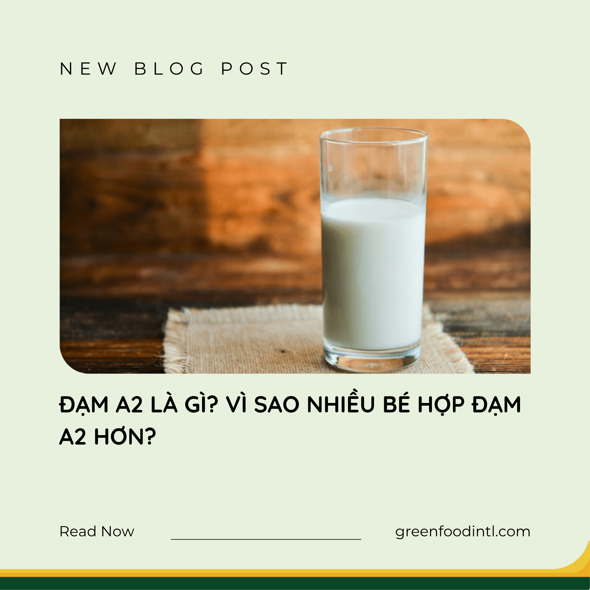 ĐẠM A2 LÀ GÌ? VÌ SAO NHIỀU BÉ HỢP ĐẠM A2 HƠN?