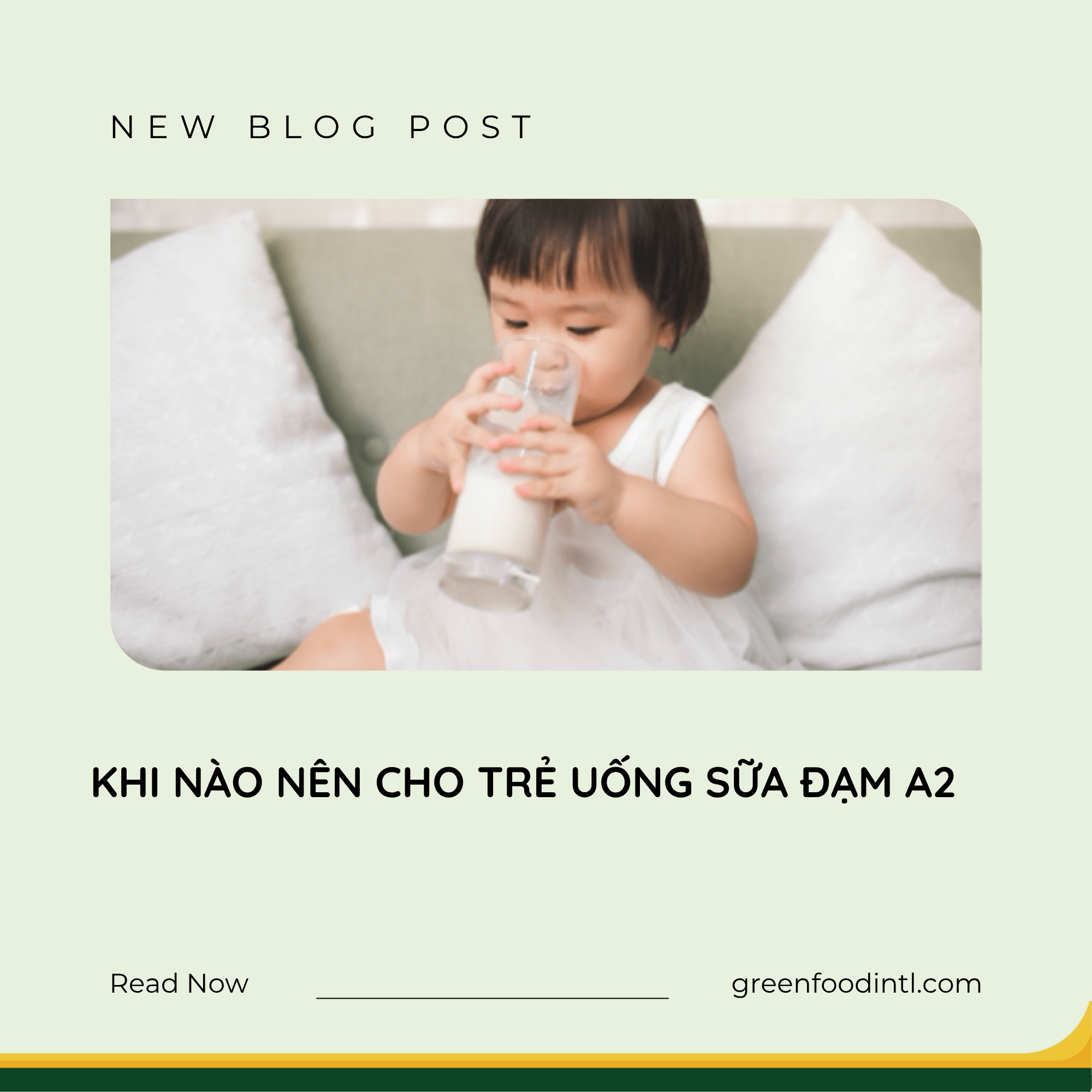 KHI NÀO NÊN CHO TRẺ UỐNG SỮA ĐẠM A2