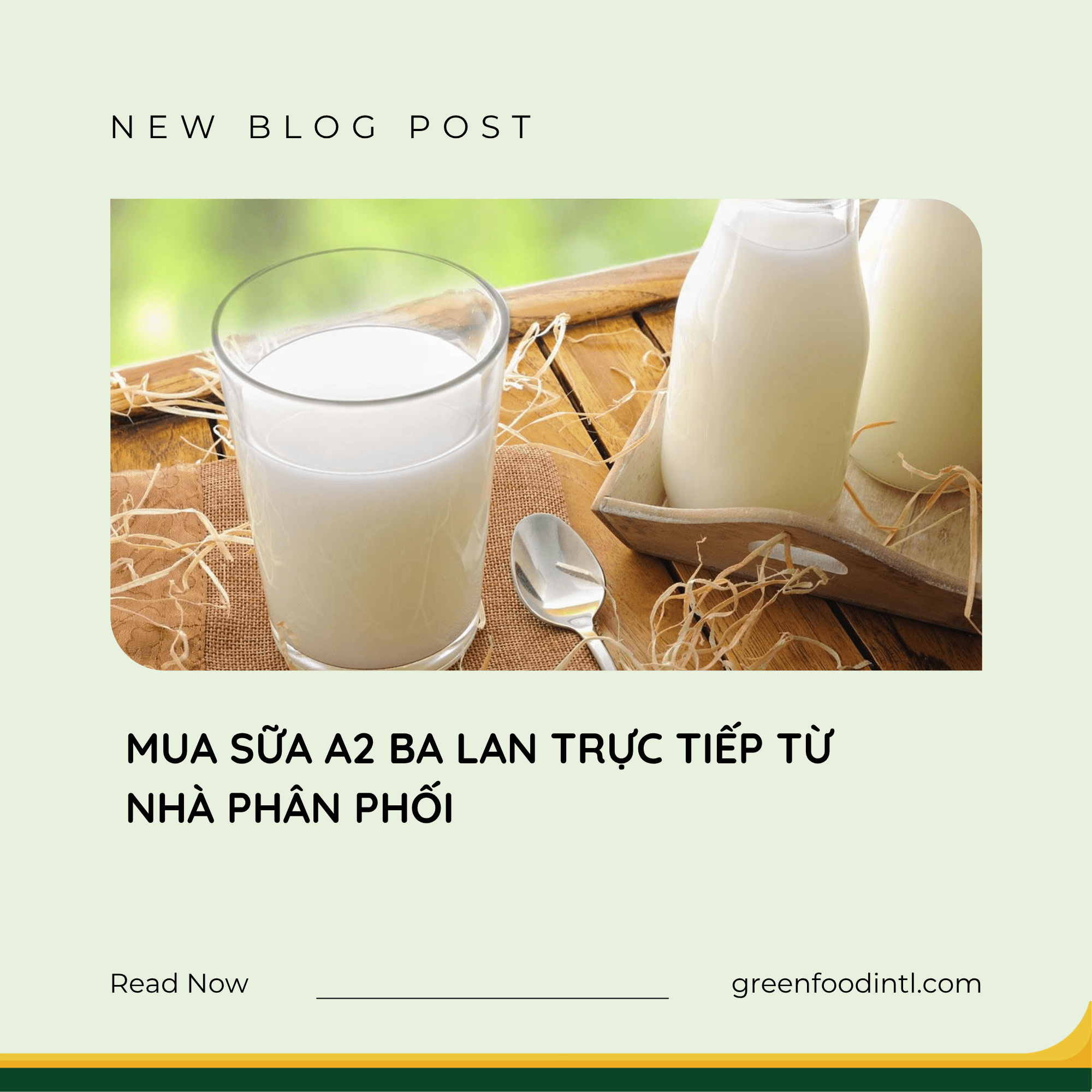 MUA SỮA A2 BA LAN TRỰC TIẾP TỪ NHÀ PHÂN PHỐI
