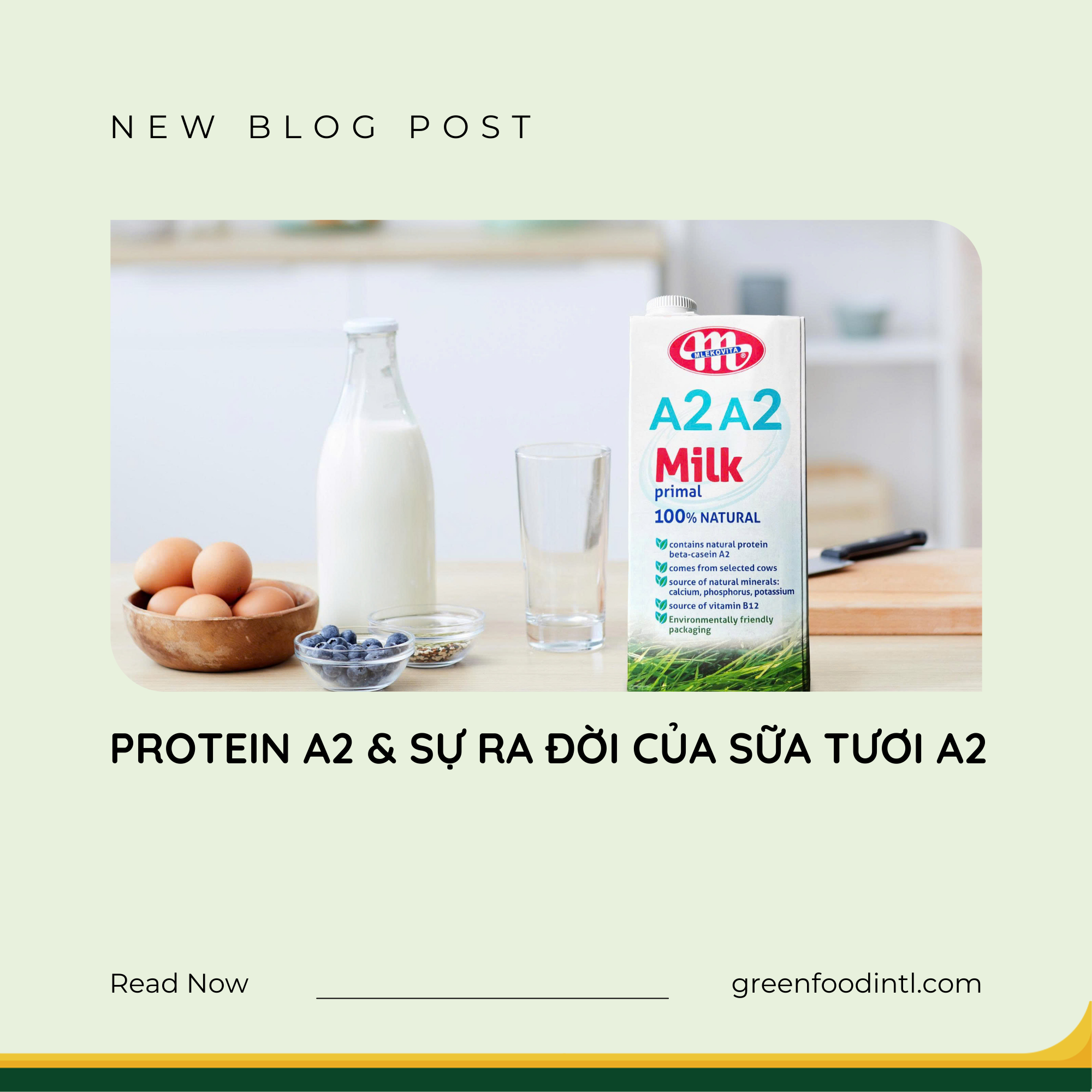 PROTEIN A2 & SỰ RA ĐỜI CỦA SỮA TƯƠI A2