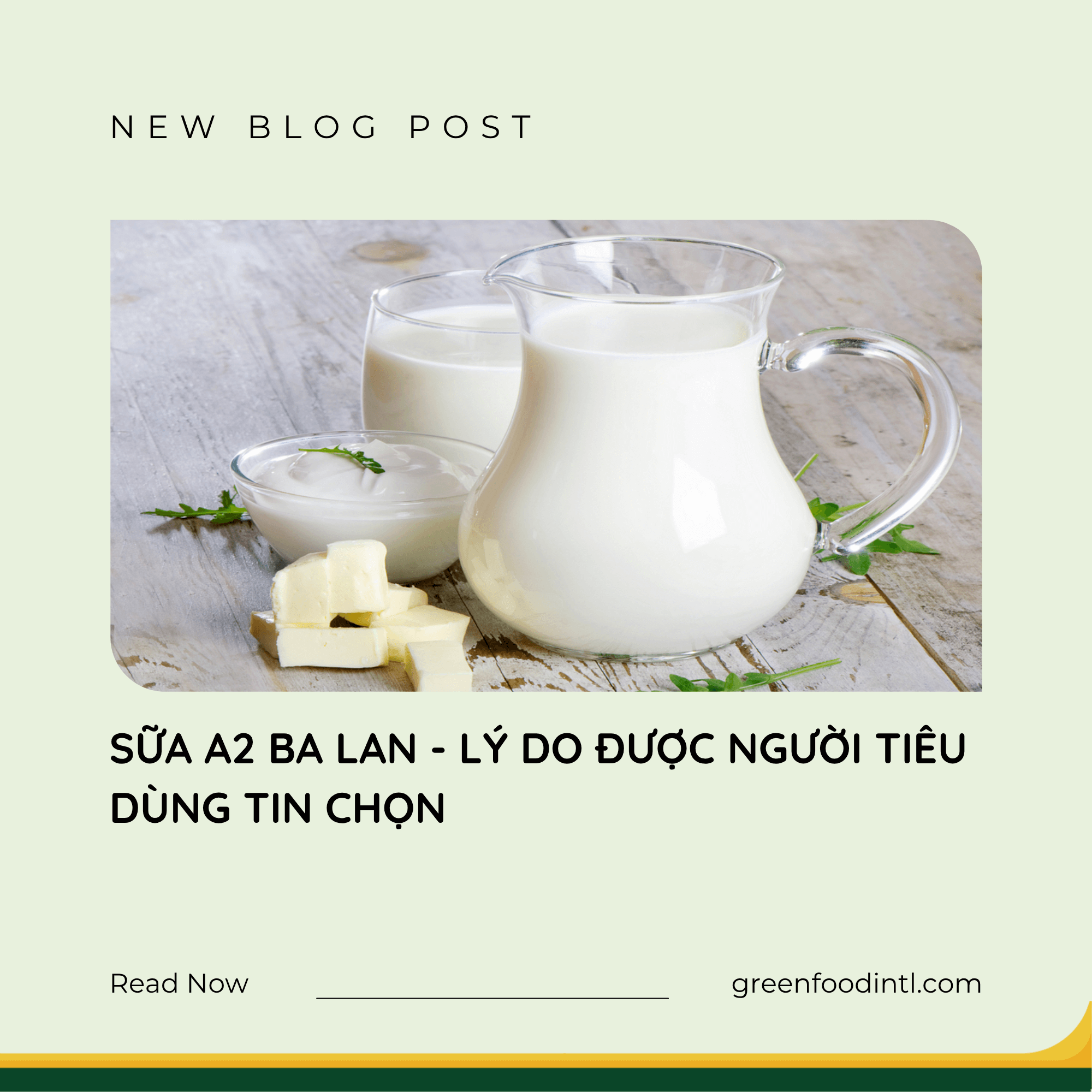 SỮA A2 BA LAN - LÝ DO ĐƯỢC NGƯỜI TIÊU DÙNG TIN CHỌN