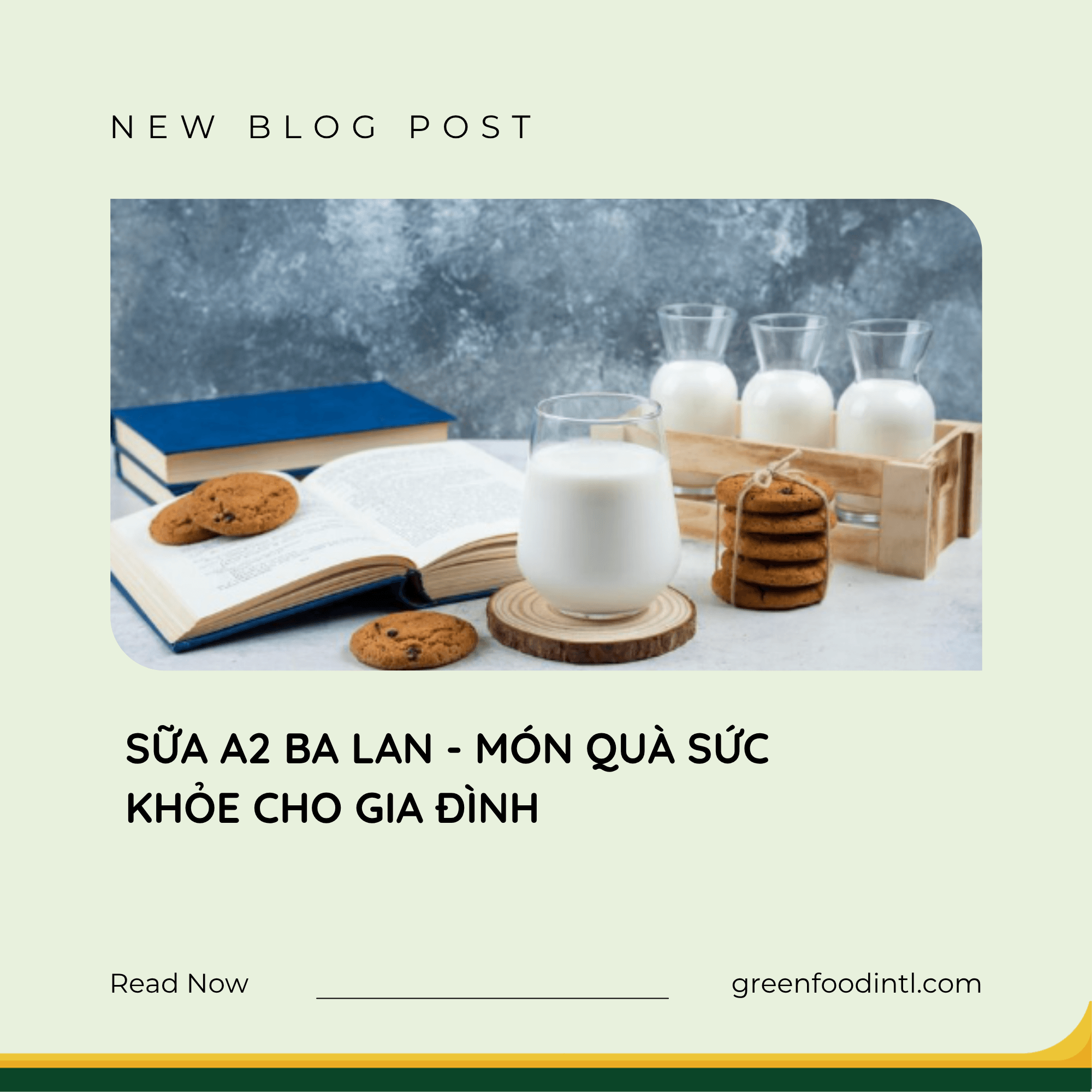 SỮA A2 BA LAN - MÓN QUÀ SỨC KHỎE CHO GIA ĐÌNH