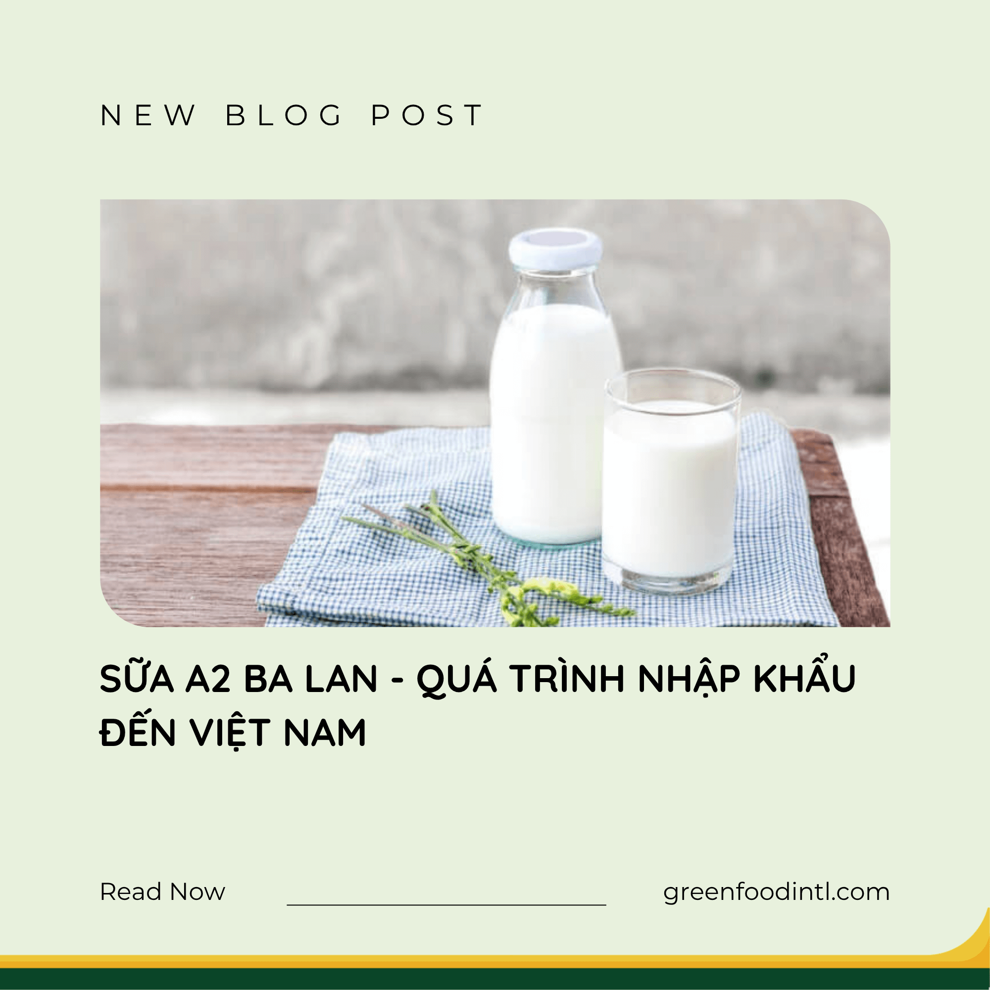 SỮA A2 BA LAN - QUÁ TRÌNH NHẬP KHẨU ĐẾN VIỆT NAM