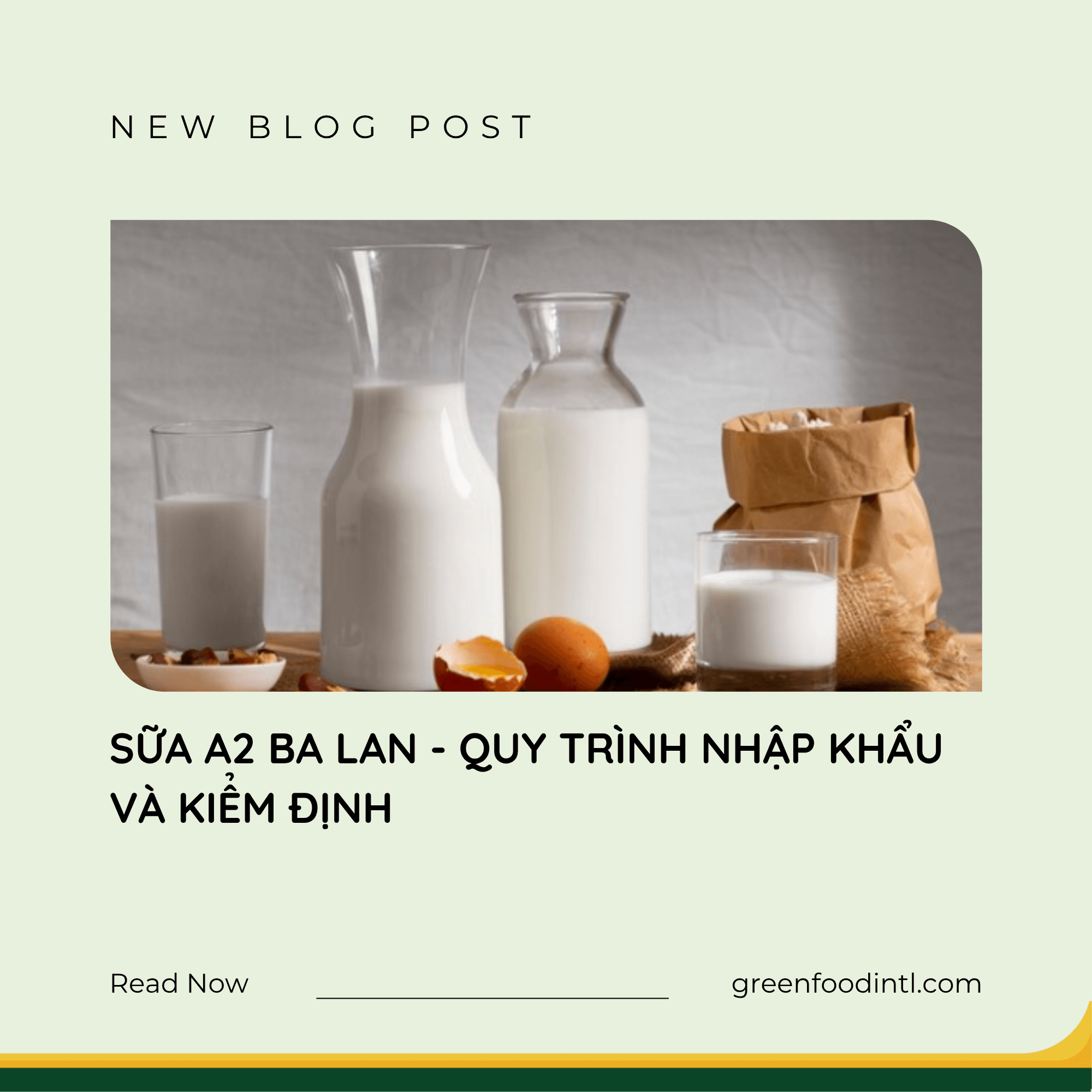 SỮA A2 BA LAN - QUY TRÌNH NHẬP KHẨU VÀ KIỂM ĐỊNH