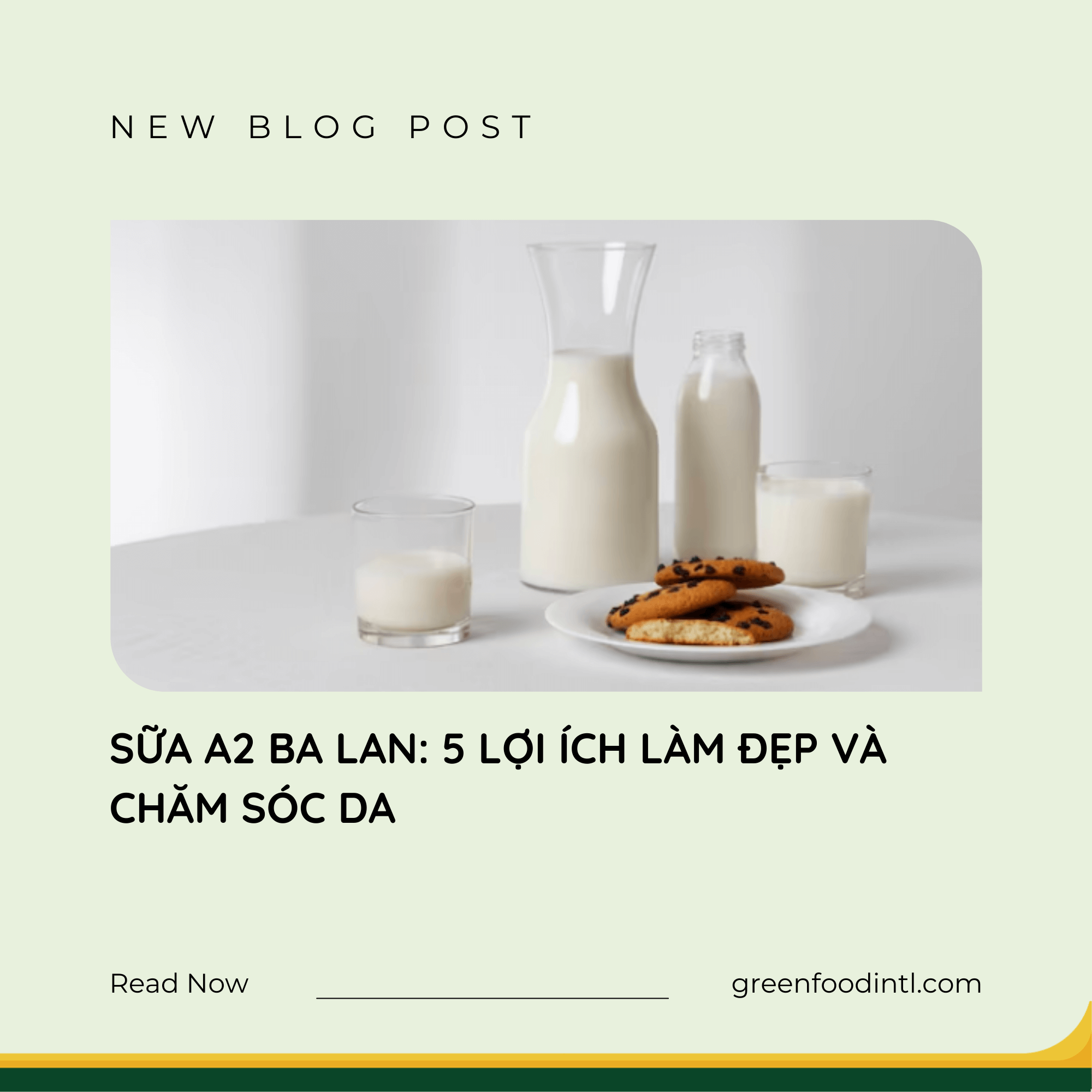 5 LỢI ÍCH LÀM ĐẸP TỪ SỮA A2 BA LAN