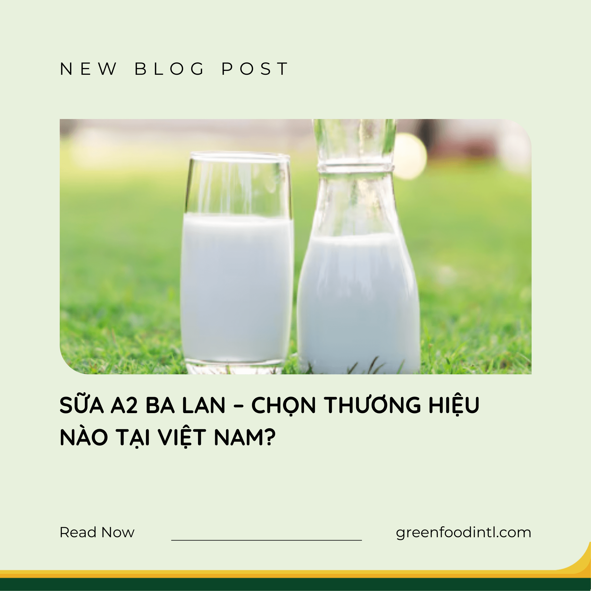 SỮA A2 BA LAN – CHỌN THƯƠNG HIỆU NÀO TẠI VIỆT NAM?