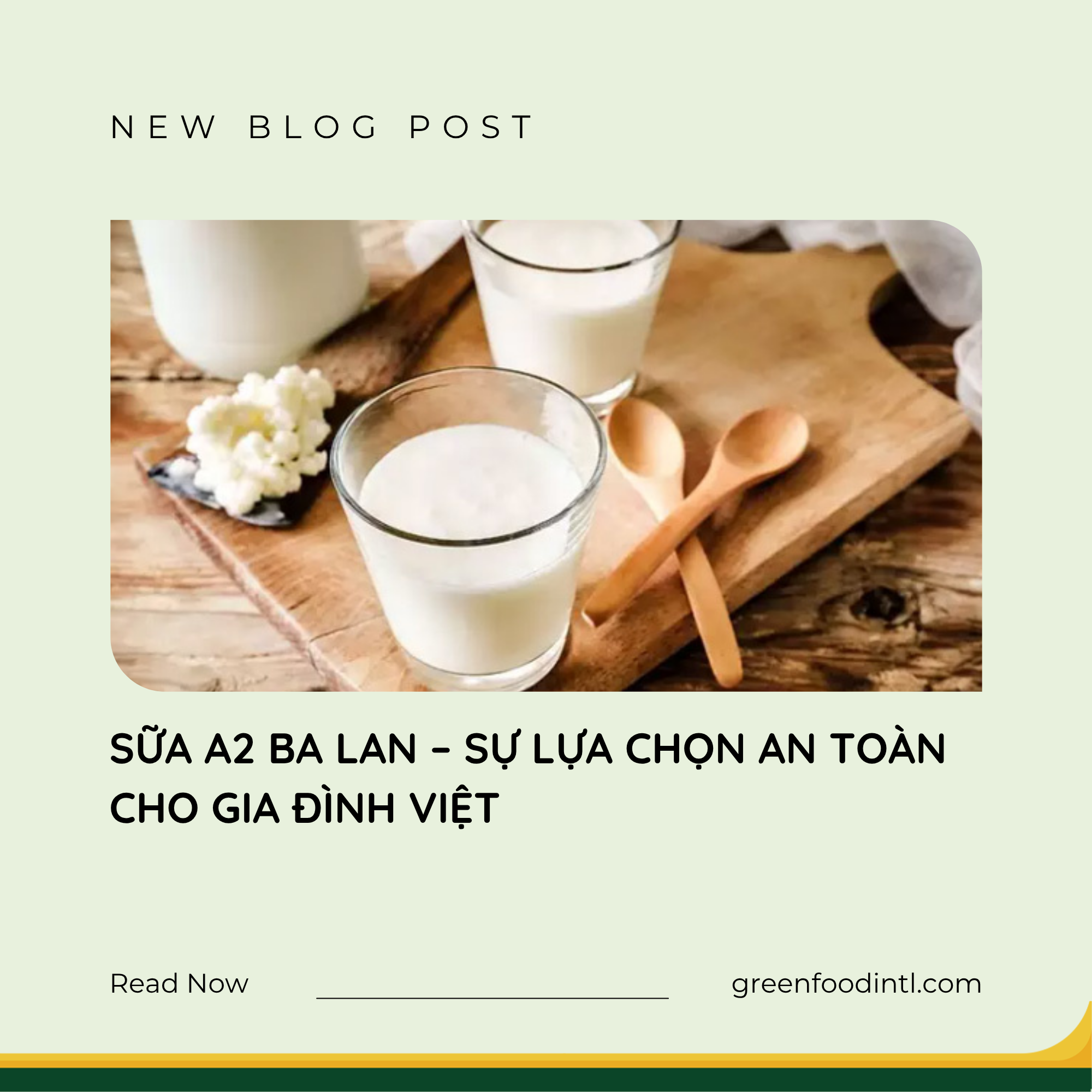 SỮA A2 BA LAN – SỰ LỰA CHỌN AN TOÀN CHO GIA ĐÌNH VIỆT