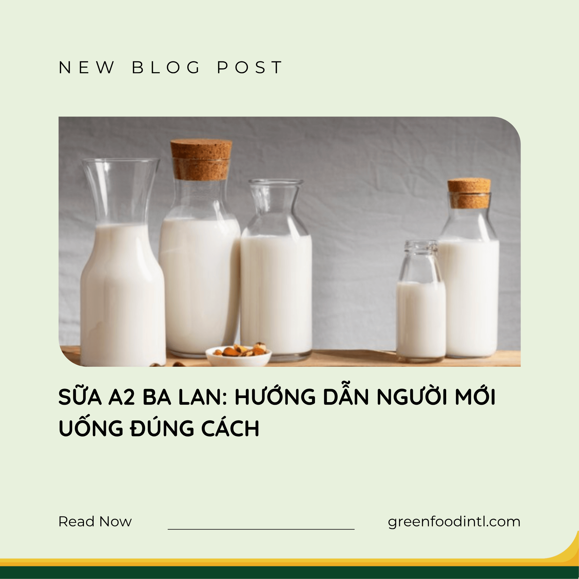 SỮA A2 BA LAN: HƯỚNG DẪN NGƯỜI MỚI UỐNG ĐÚNG CÁCH